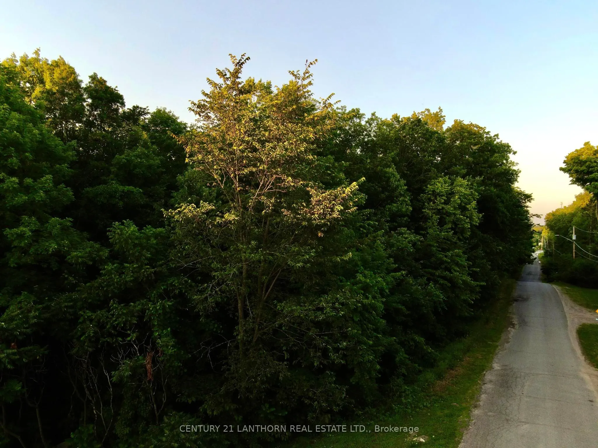 0 Luffman Road