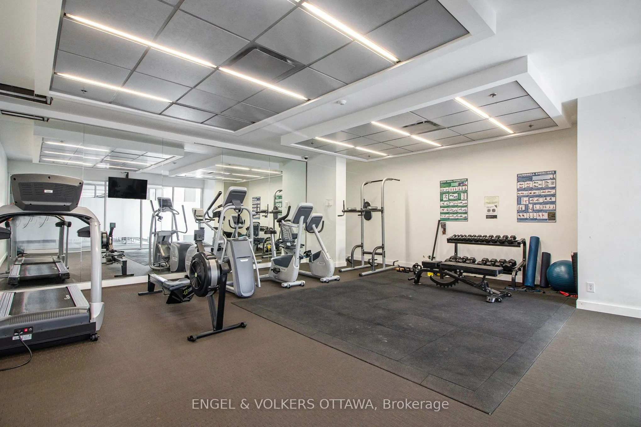 340 MCLEOD Street #641