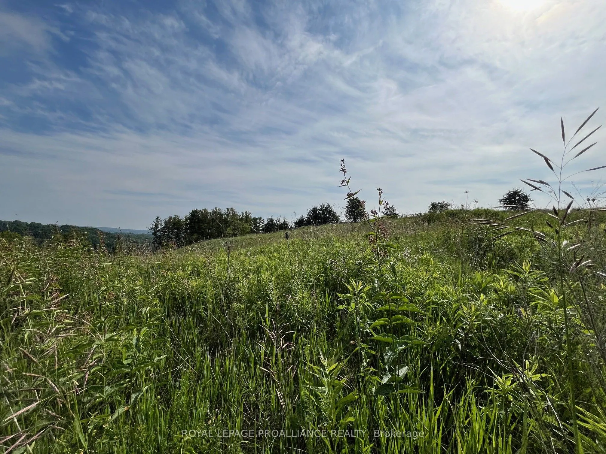 Lot 24 McCarty Drive