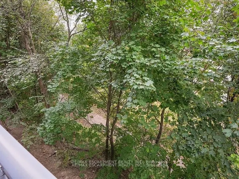 479 Charlton Avenue E, #204