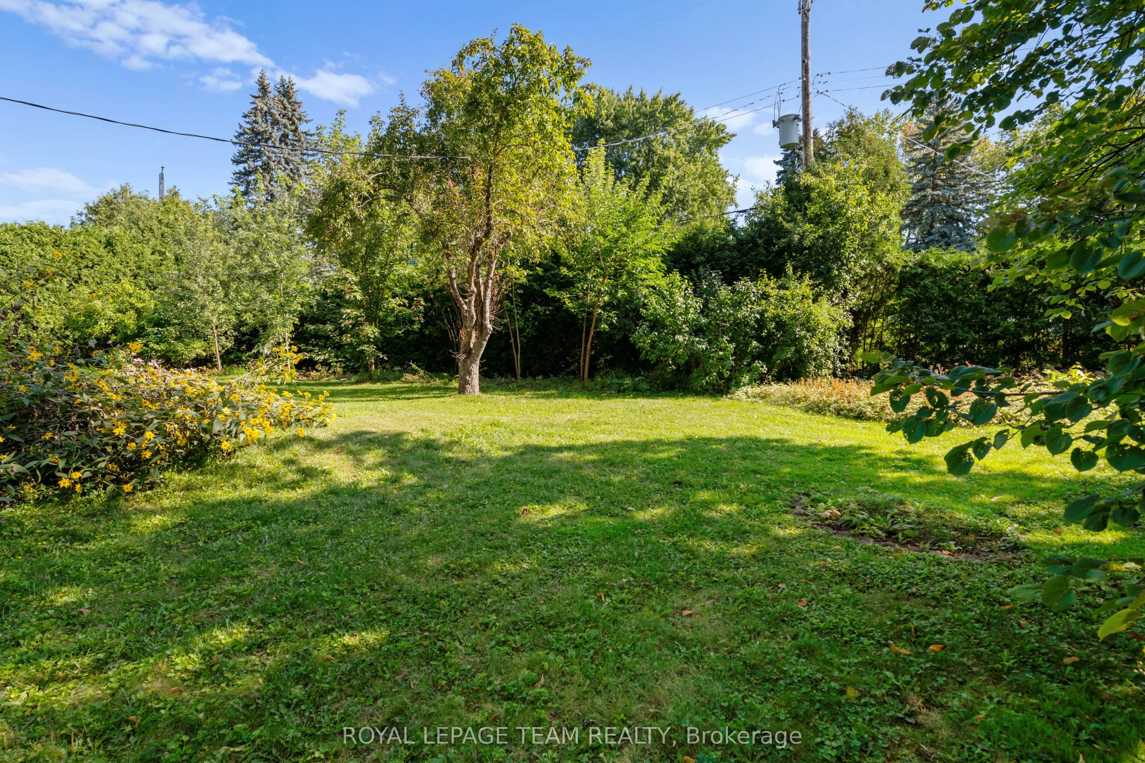 873 DUNLEVIE Avenue