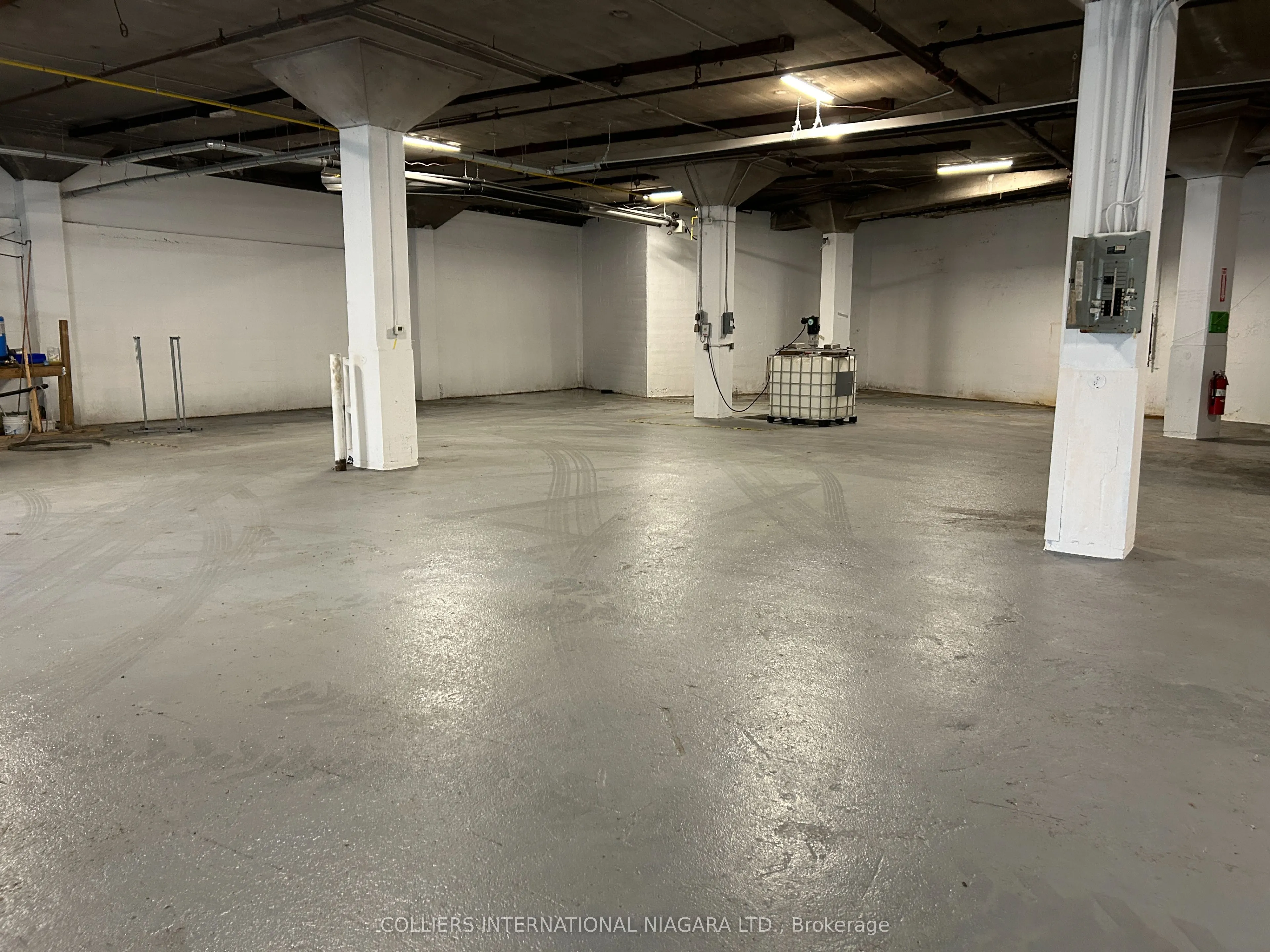55 Oakdale Avenue, #4