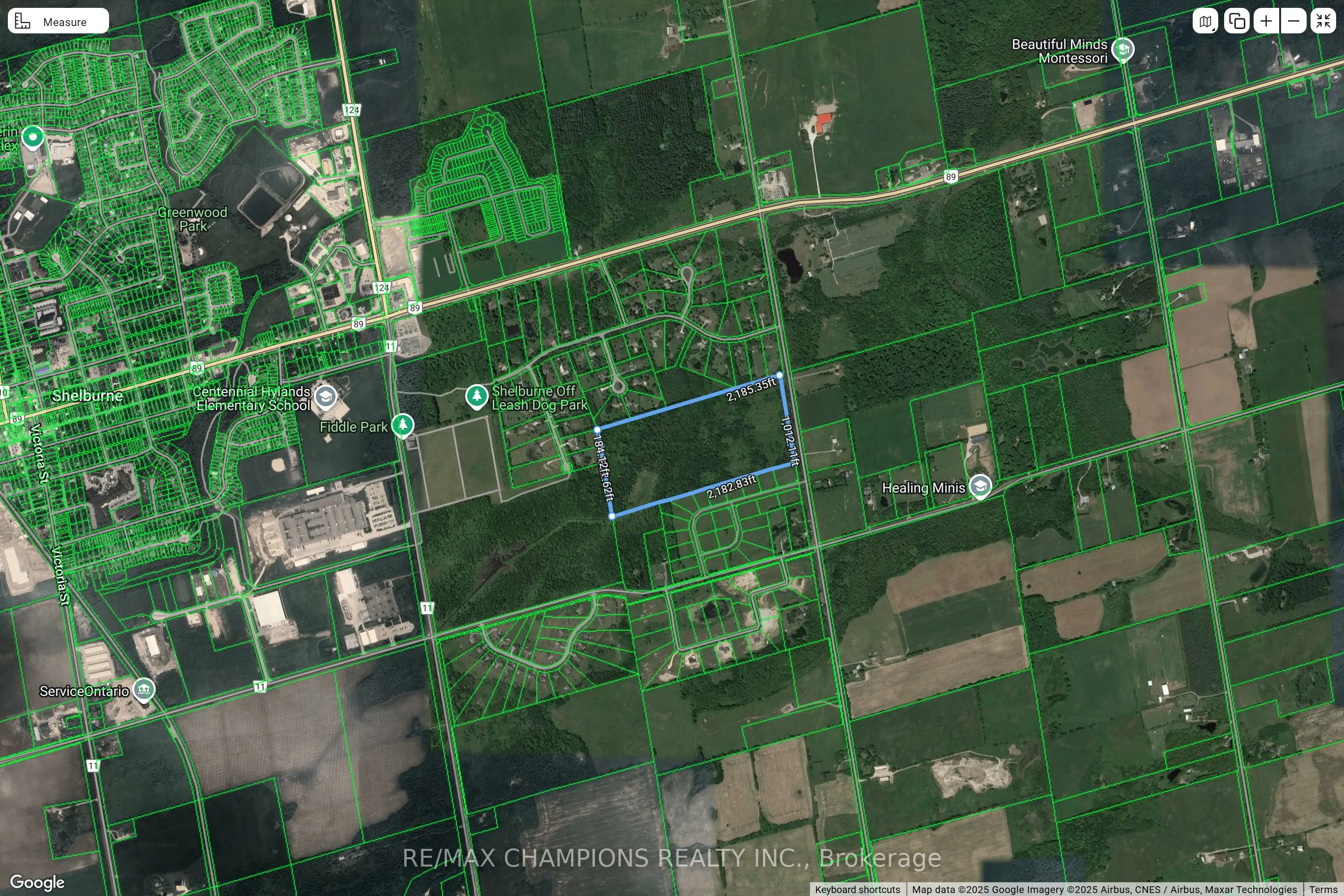 L31 C1 Mono Amaranth Town Line