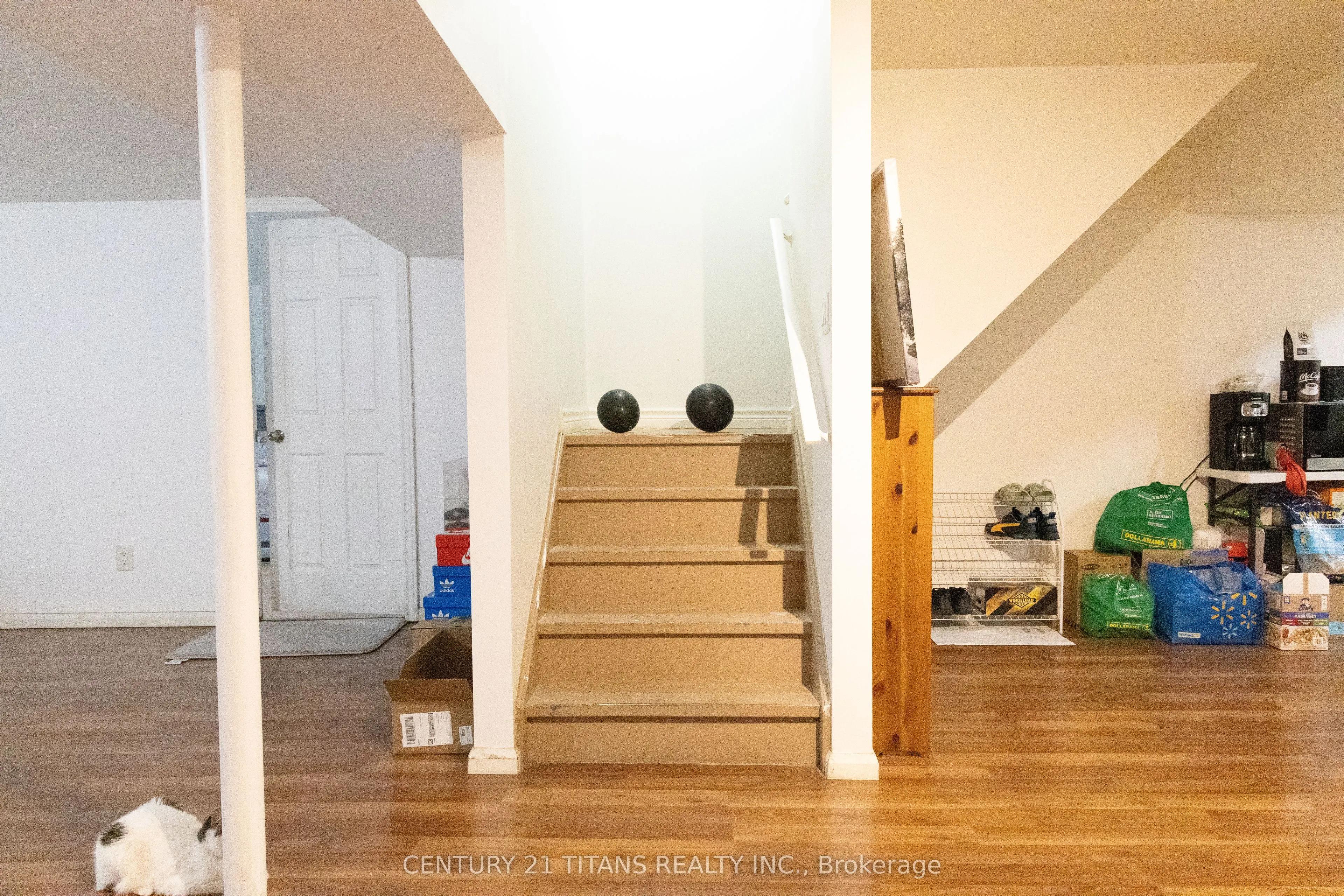 99 Donnici Drive