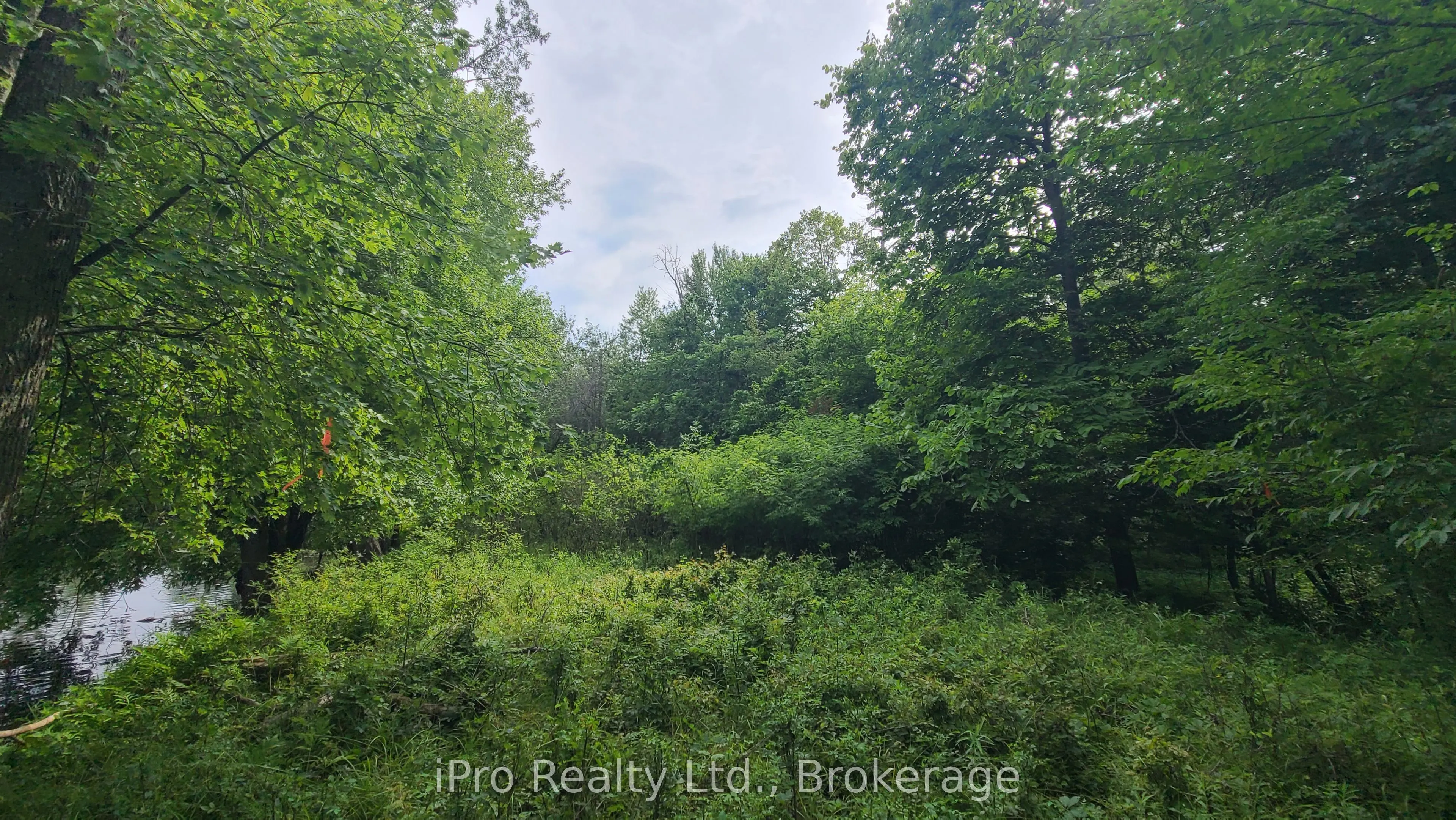 244 Trillium Lane