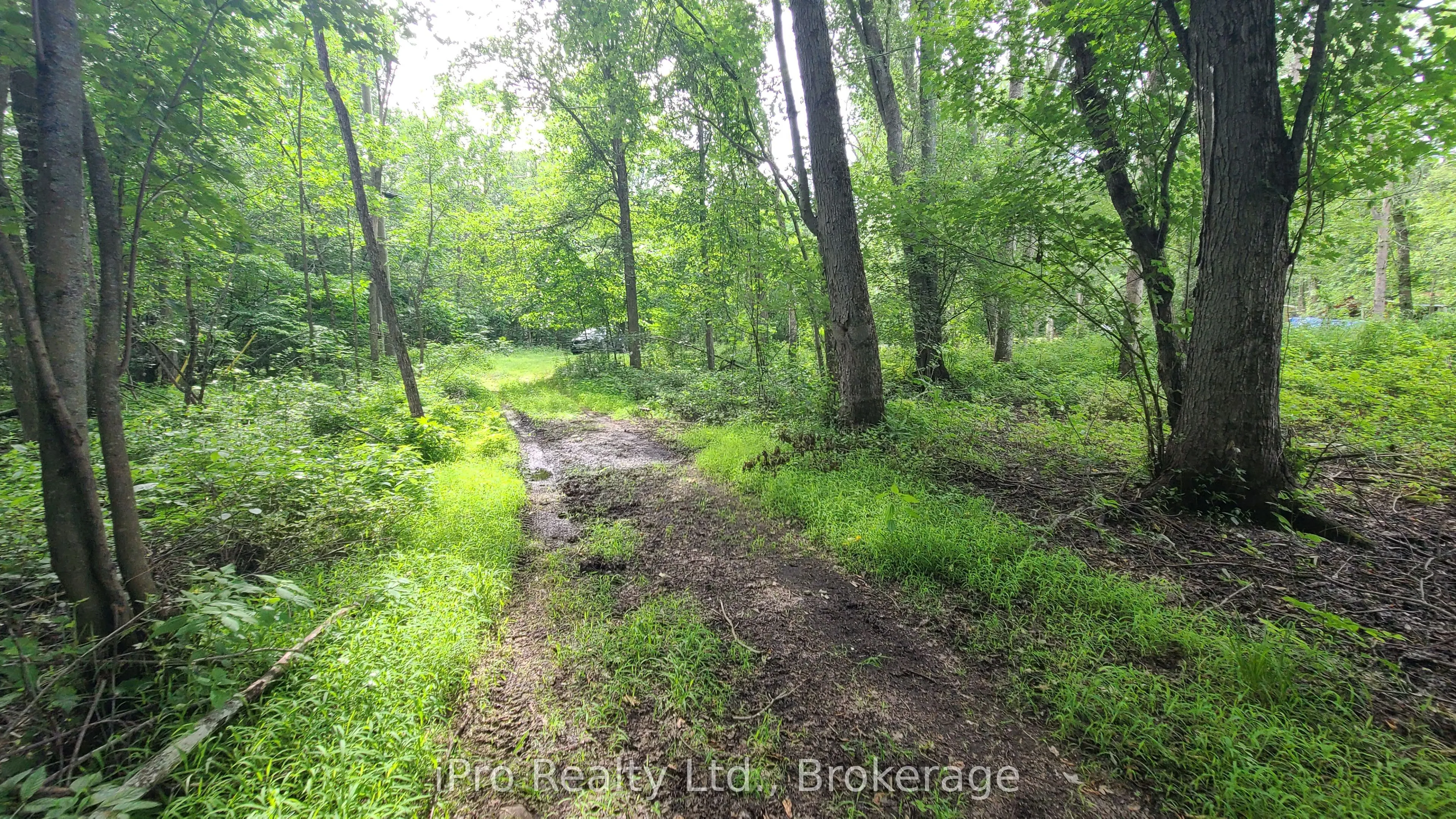 244 Trillium Lane
