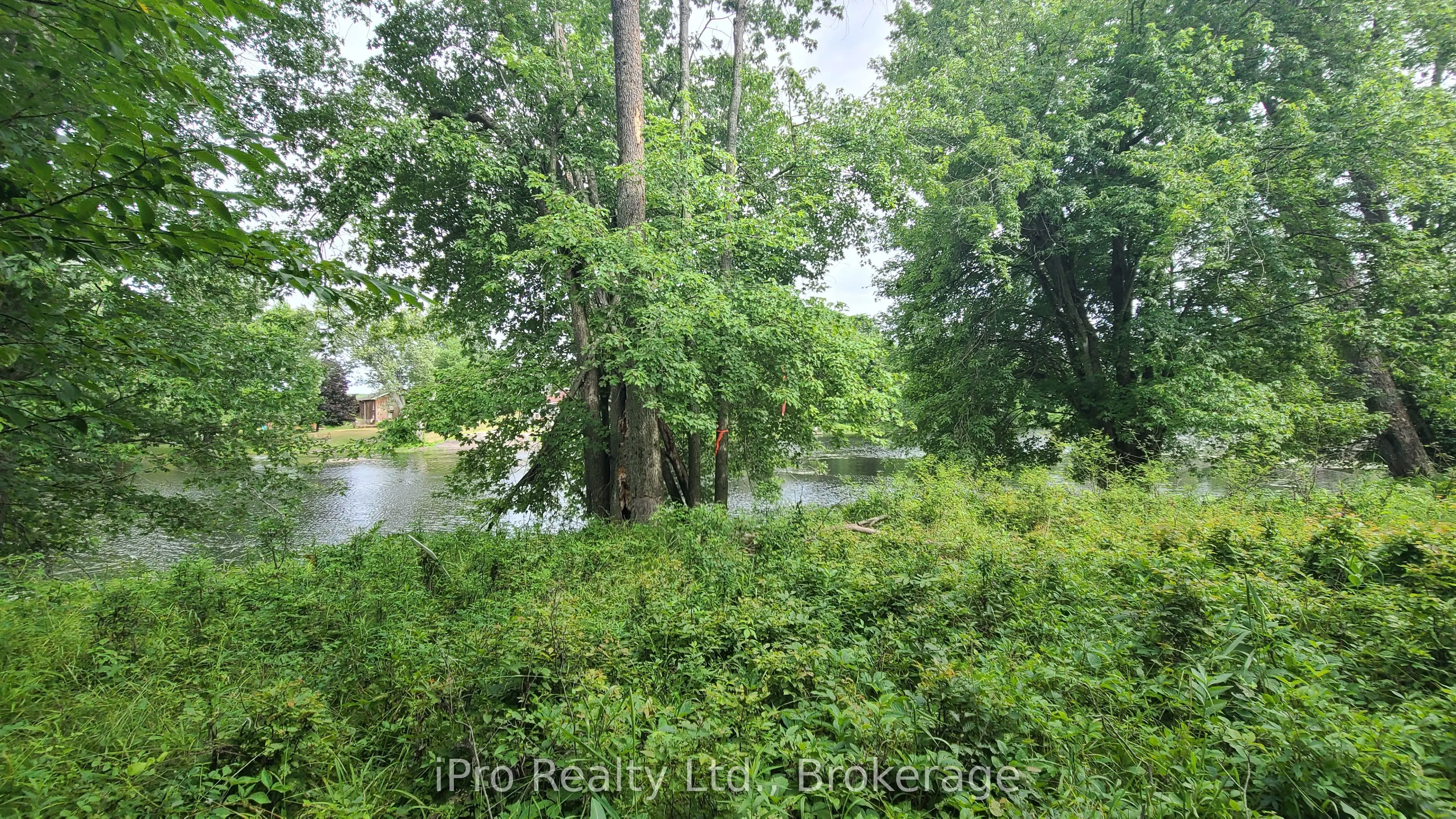 244 Trillium Lane