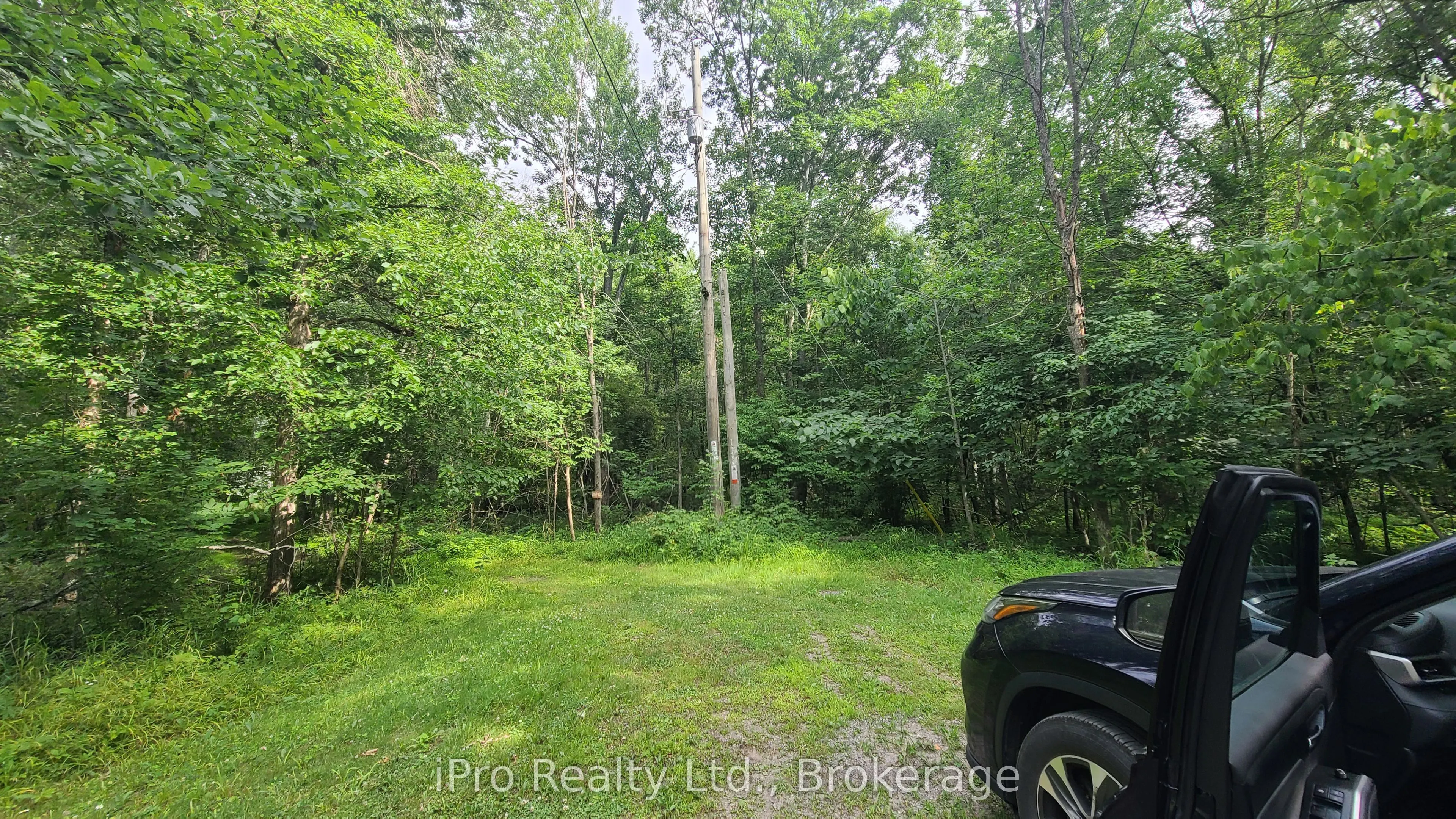 244 Trillium Lane