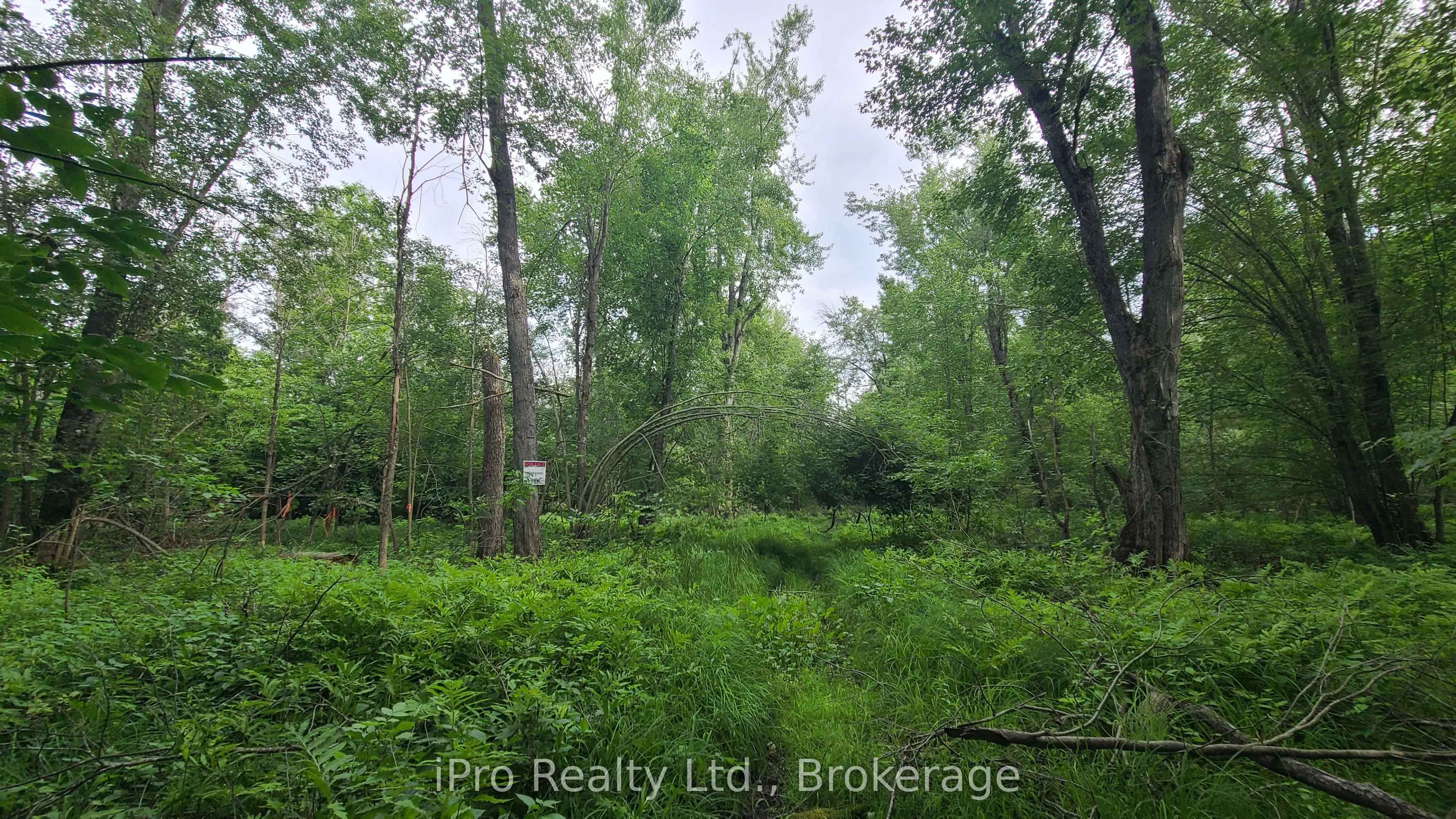 244 Trillium Lane