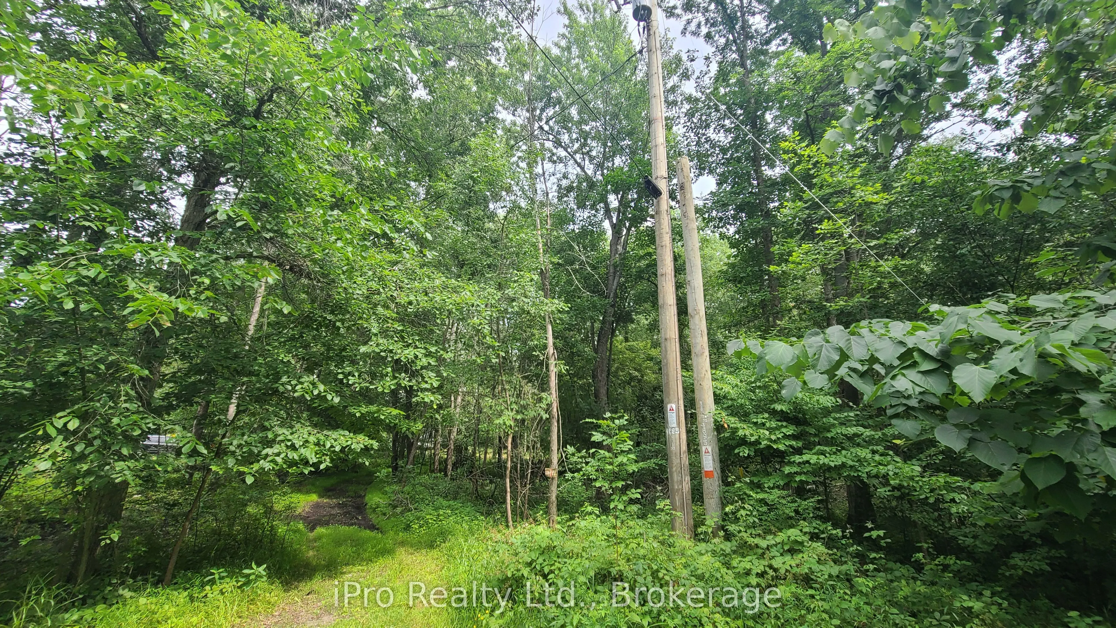 244 Trillium Lane