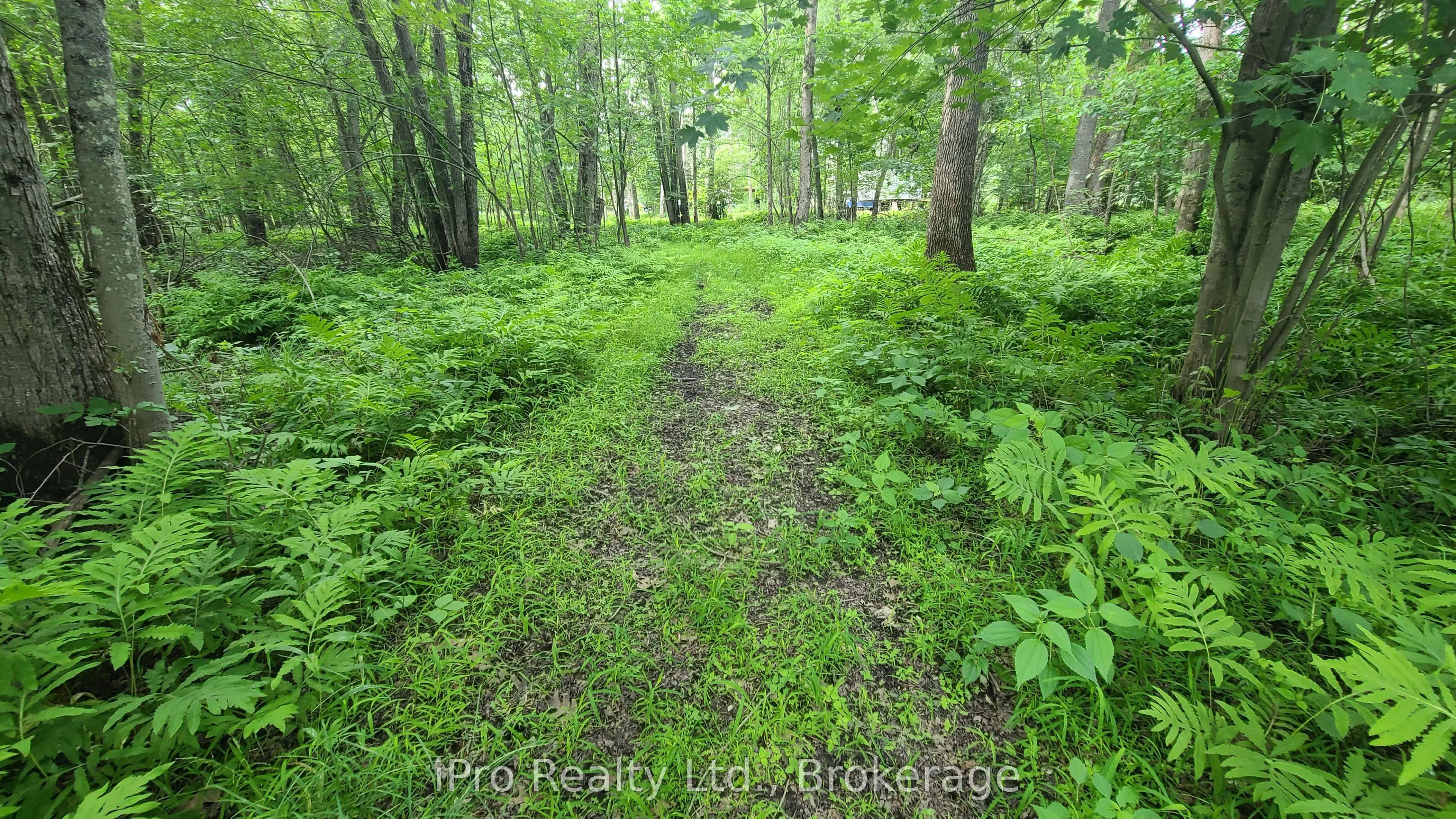 244 Trillium Lane