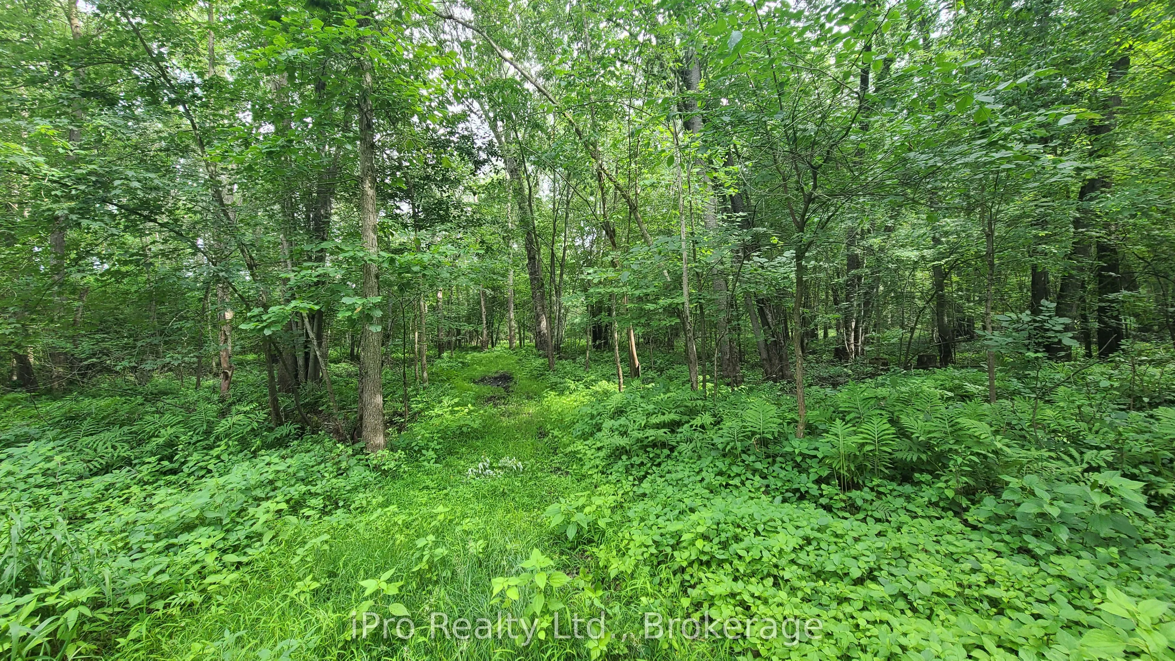 244 Trillium Lane