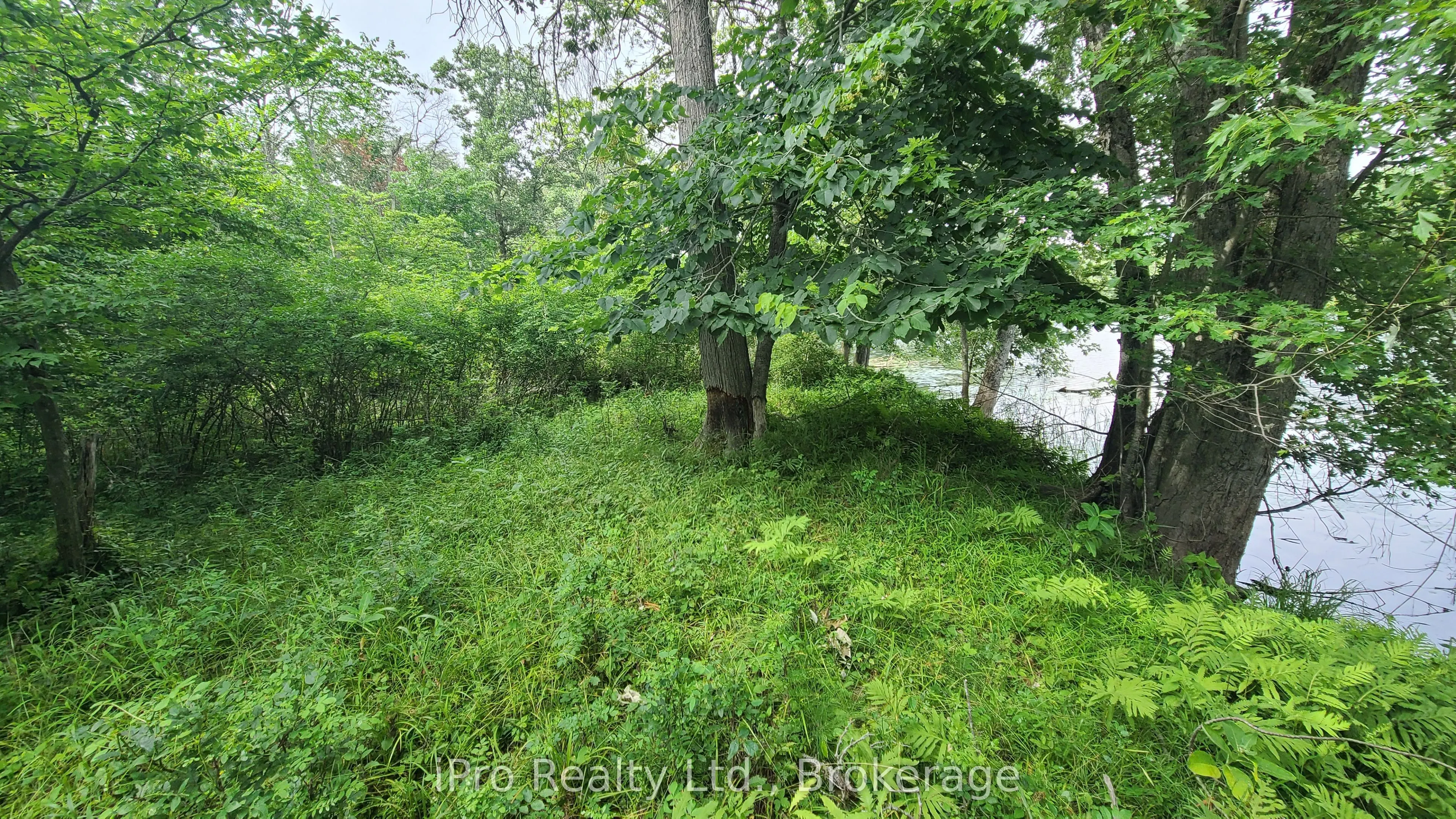 244 Trillium Lane