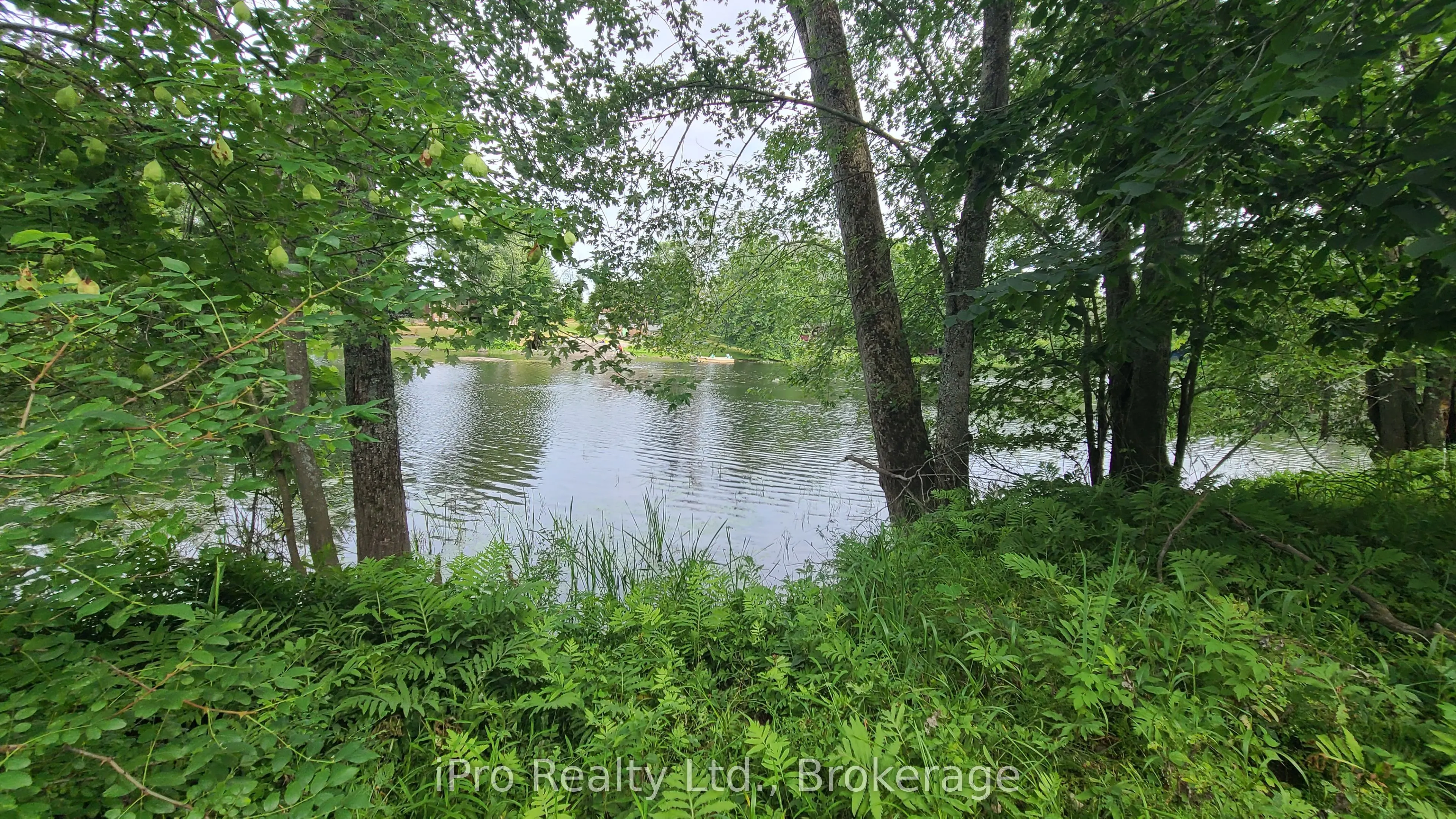 244 Trillium Lane