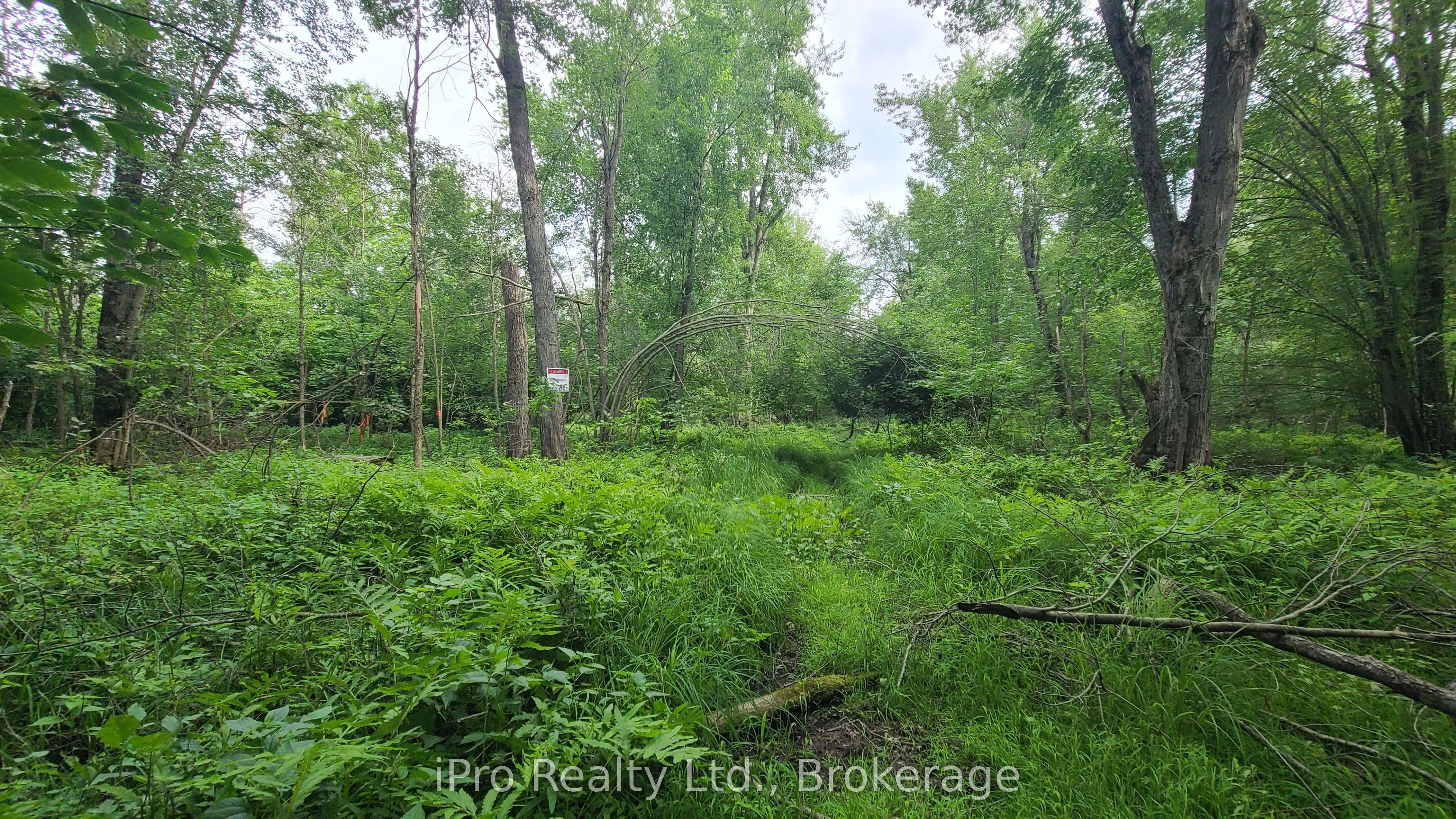 244 Trillium Lane