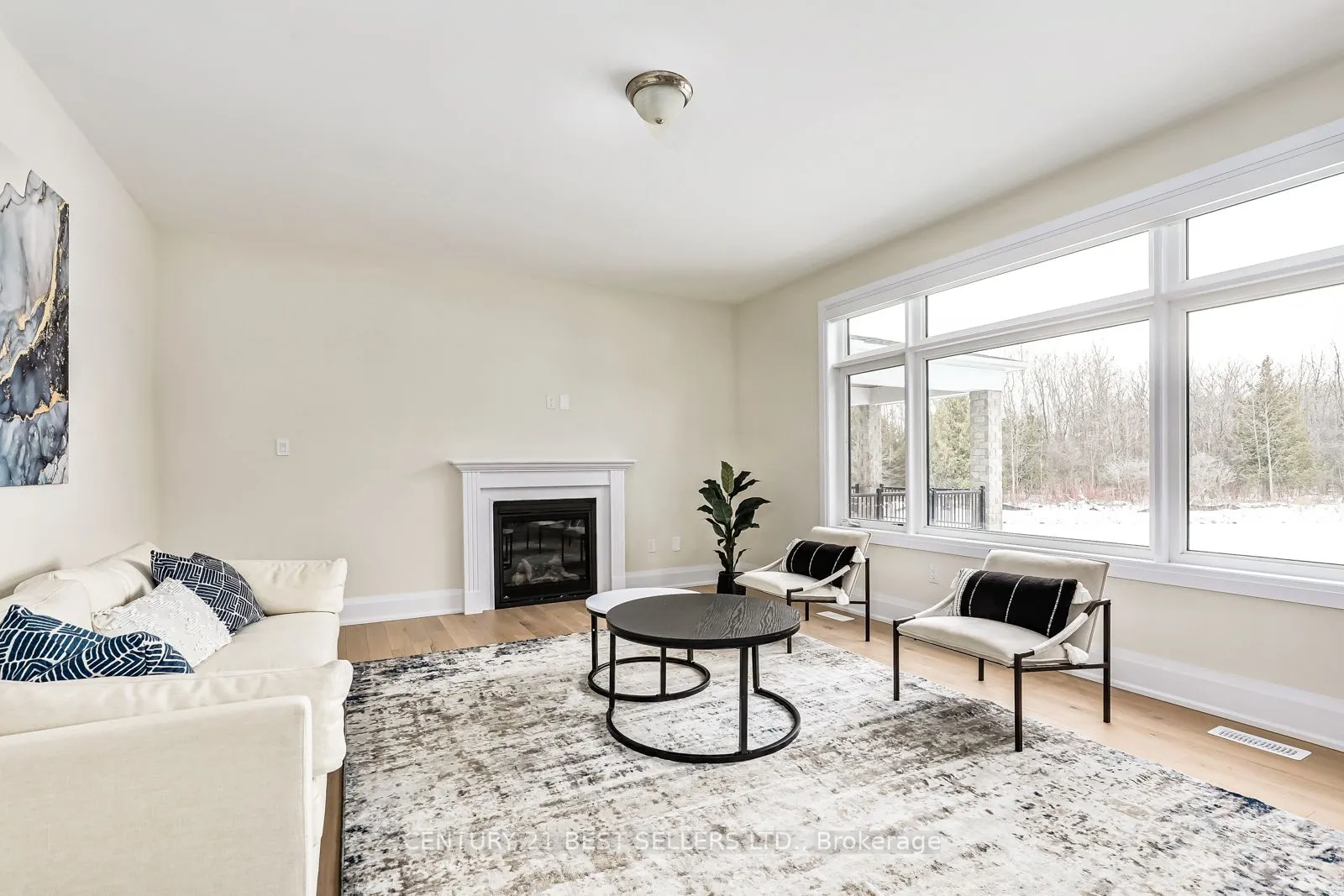 117 Stoneleigh Drive