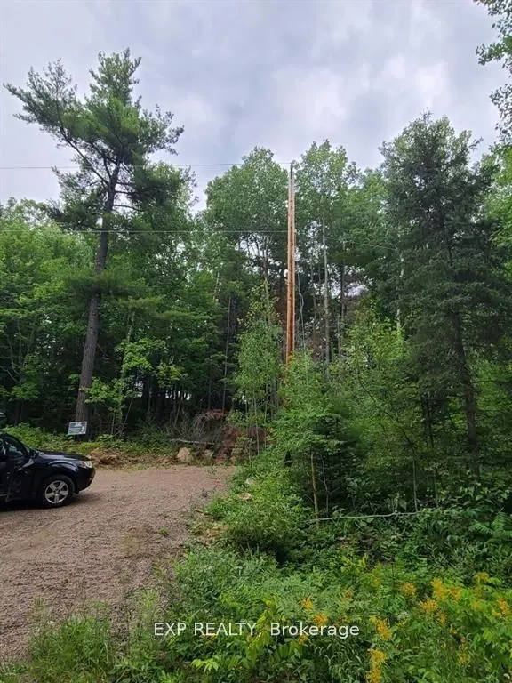 20 Peplinski Homestead Road