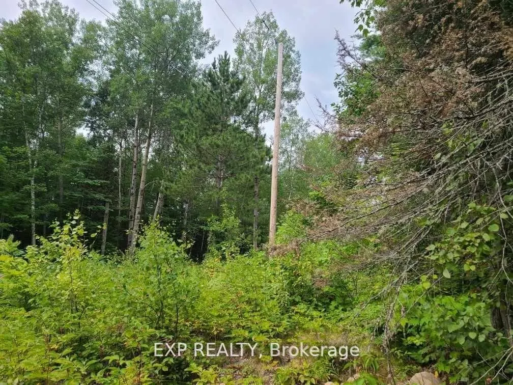 20 Peplinski Homestead Road