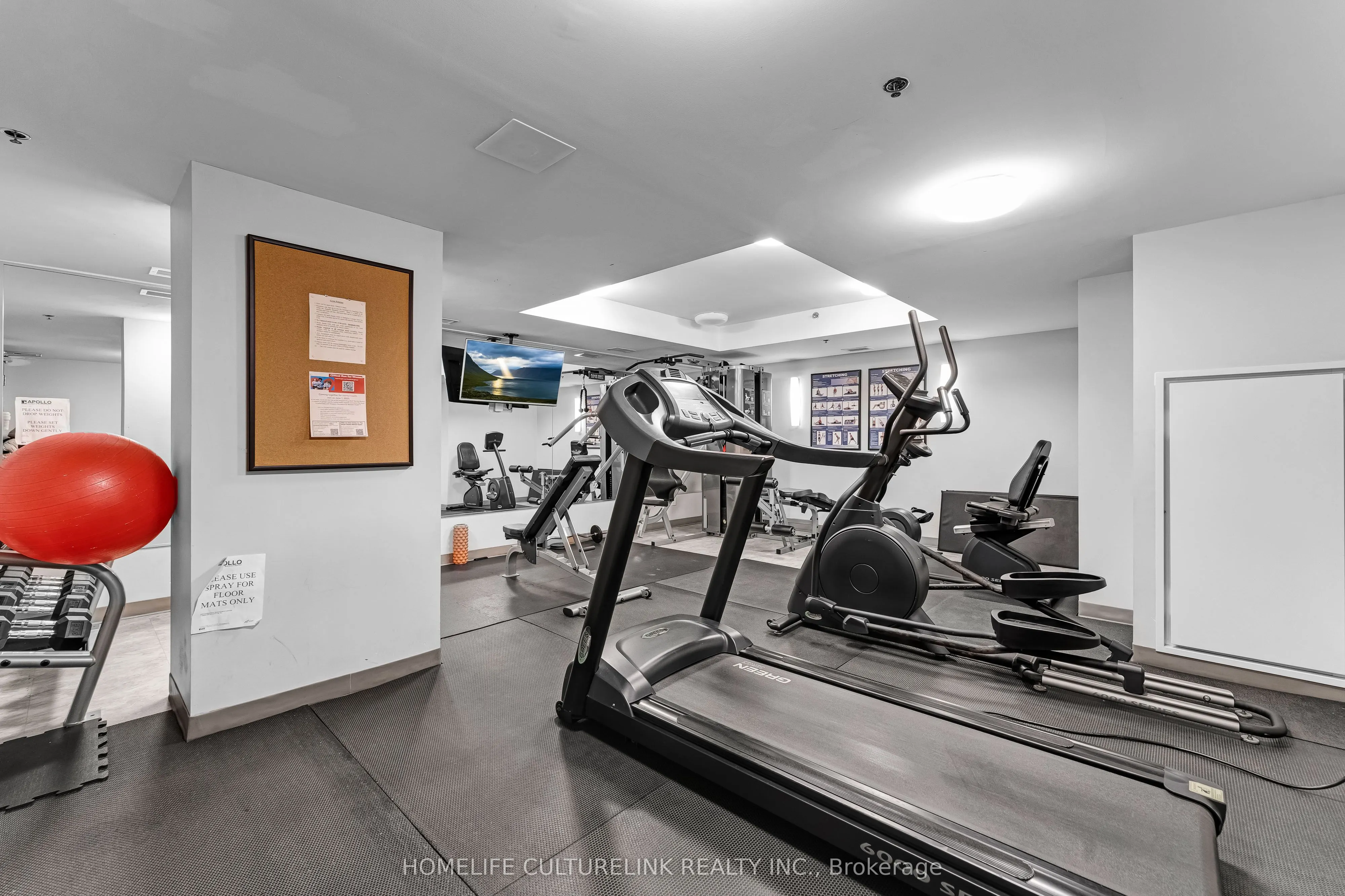 88 Richmond Road, #512