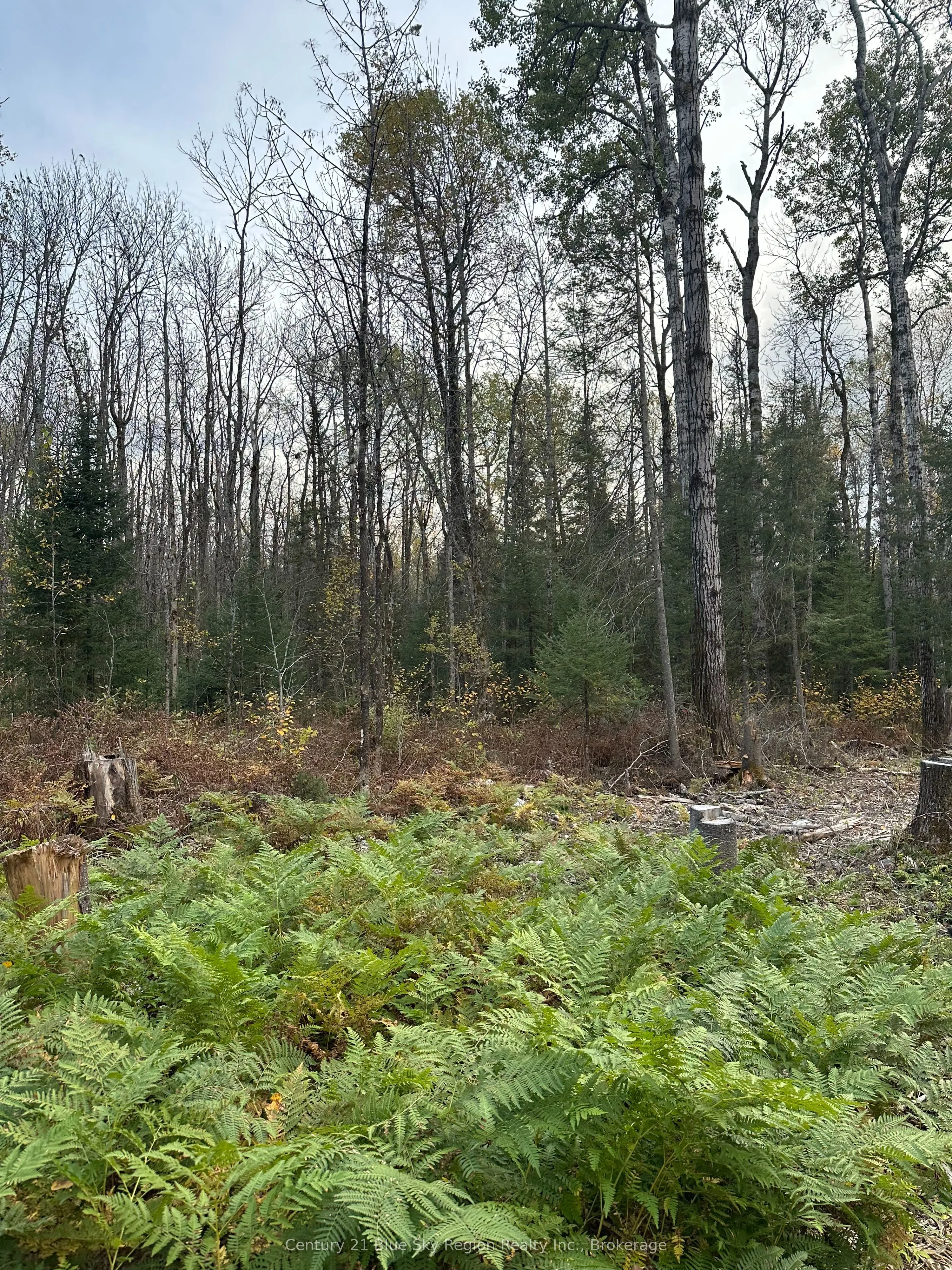 13 One Mile Road