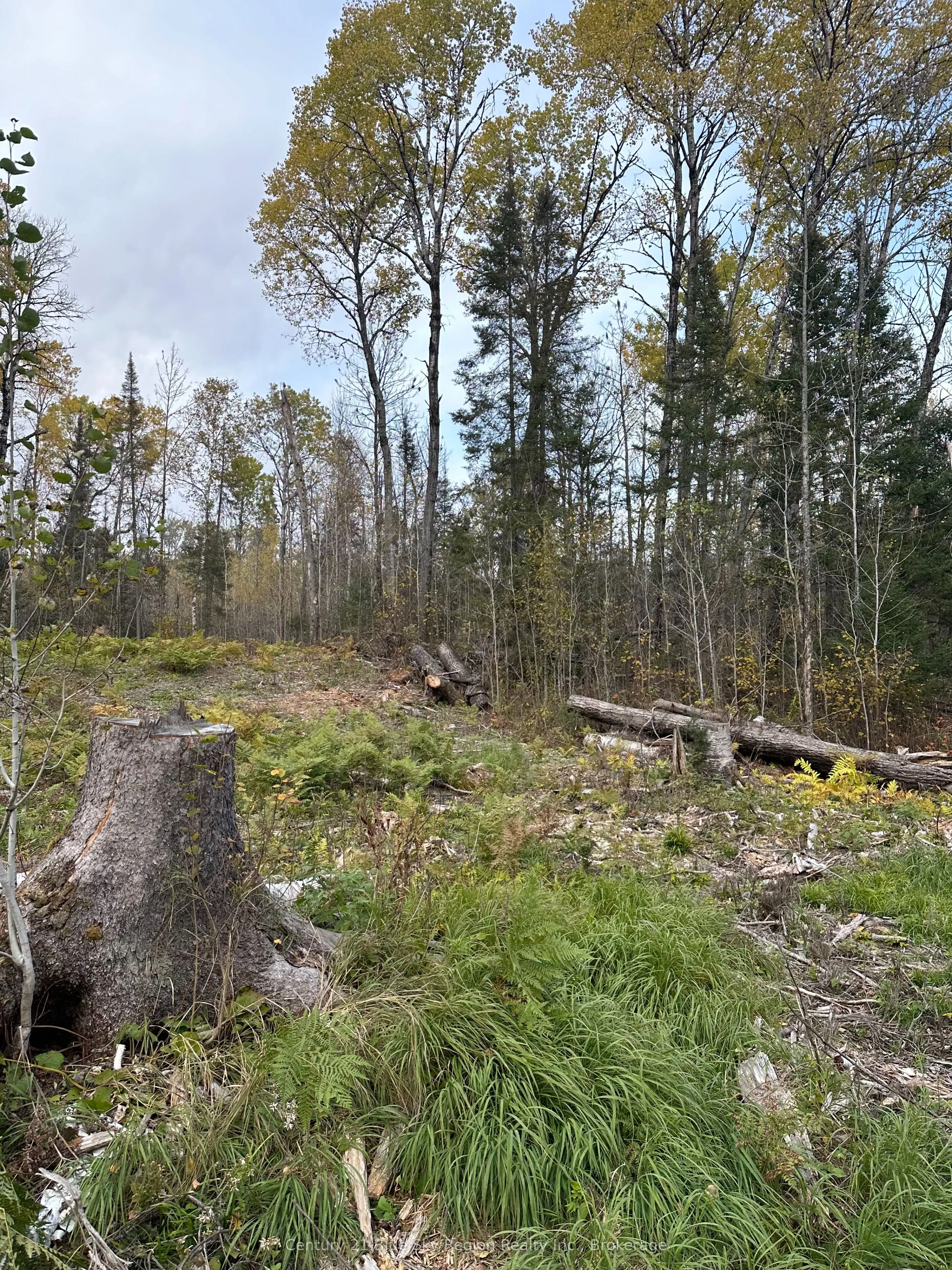 13 One Mile Road