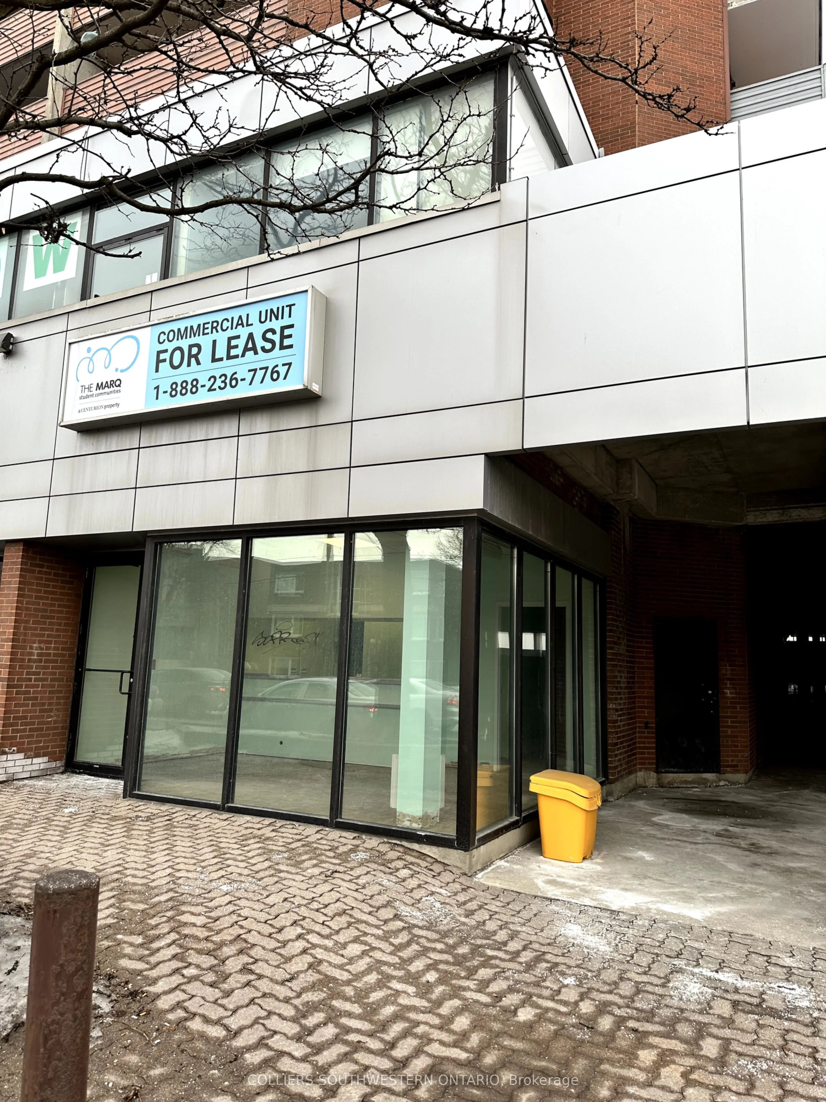 205 Oxford Street E, #C109