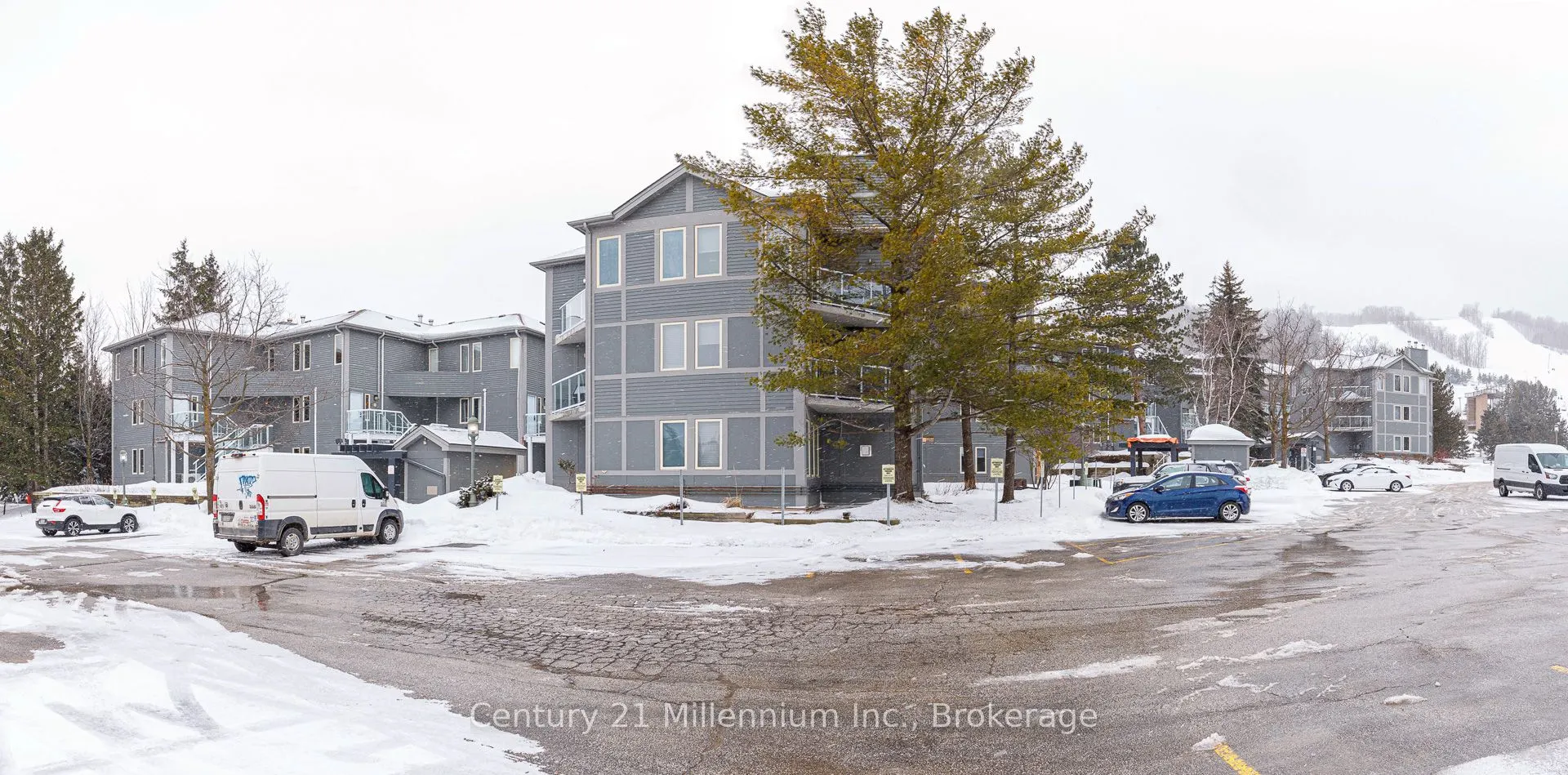 107 Ann Heggtveit Drive, #212