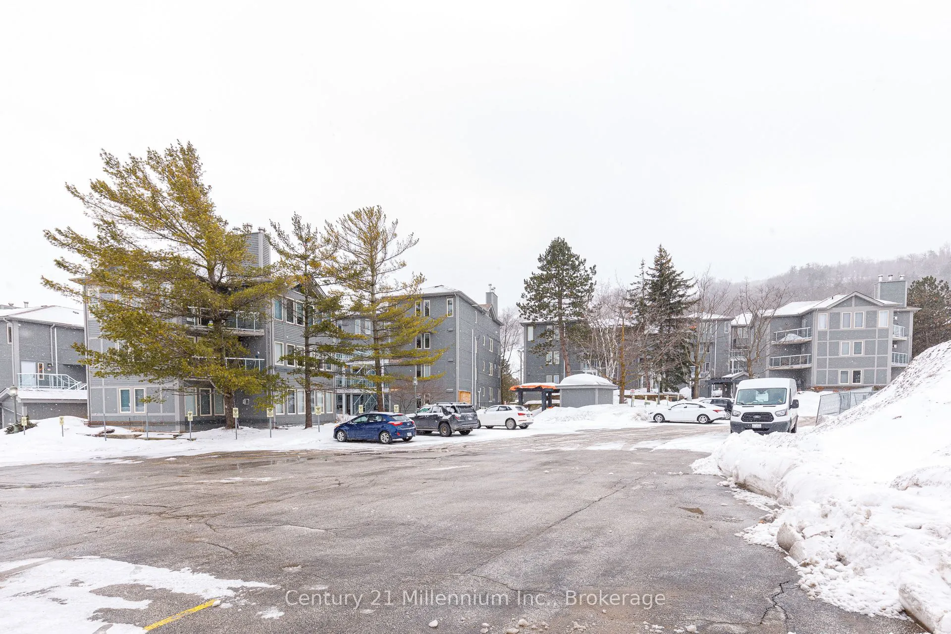 107 Ann Heggtveit Drive, #212