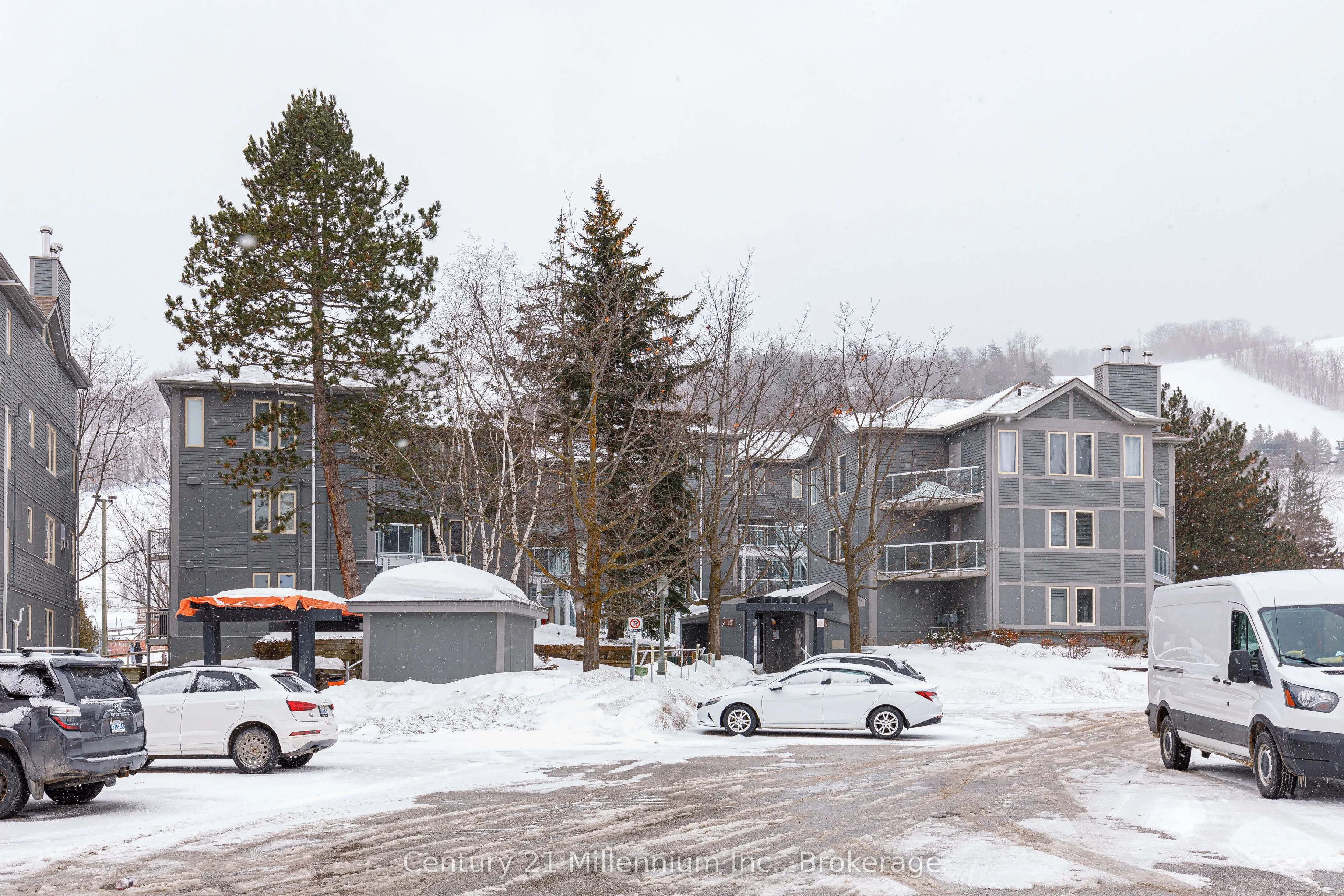 107 Ann Heggtveit Drive, #212