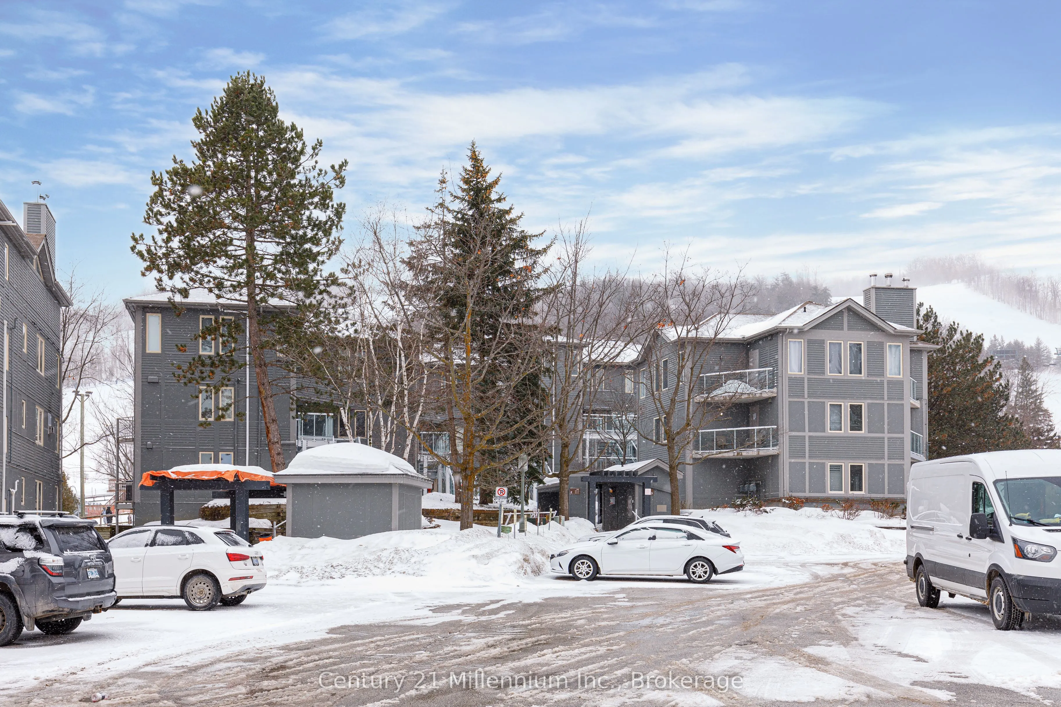 107 Ann Heggtveit Drive, #212