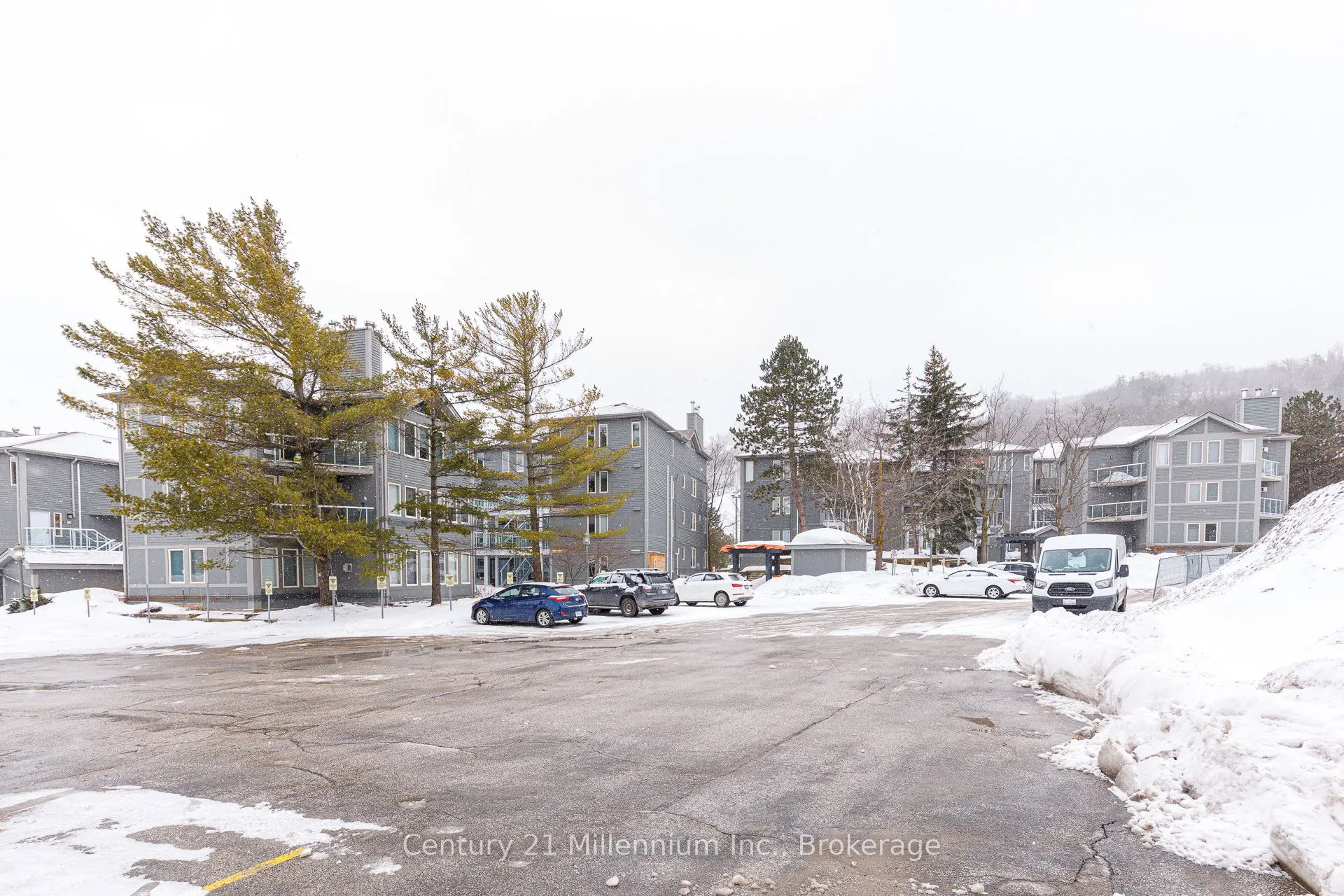107 Ann Heggtveit Drive, #212