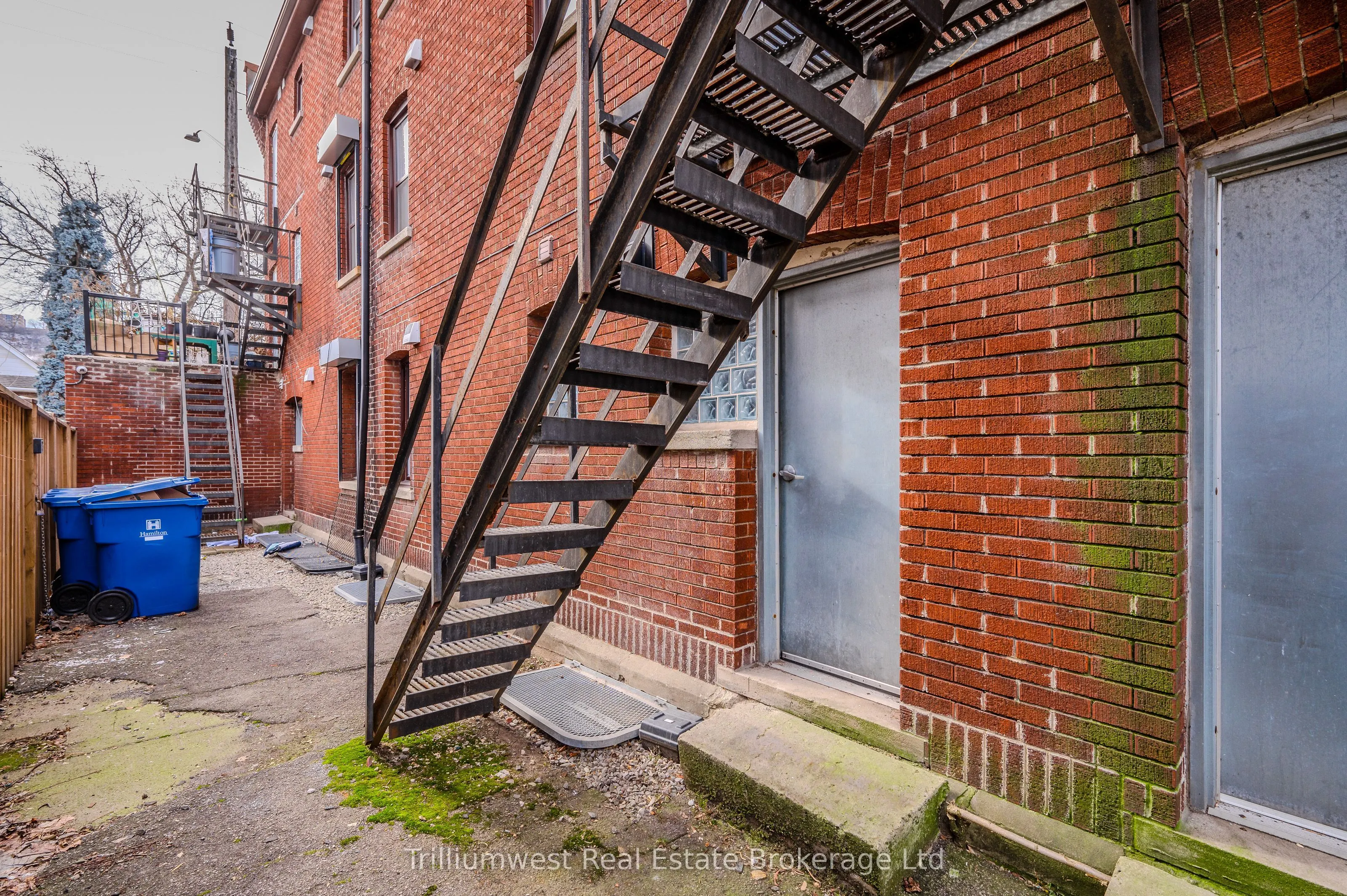 41 Albert Street, #3