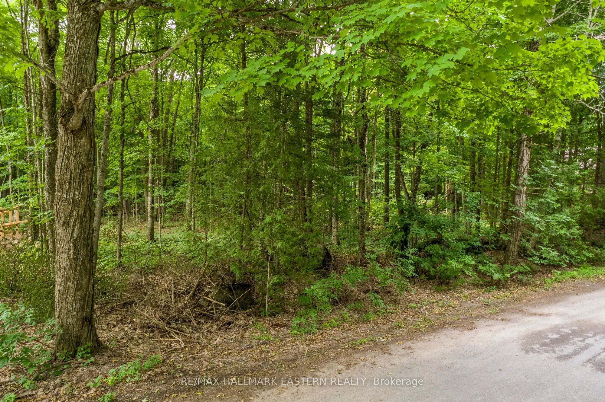0 Teds Lane