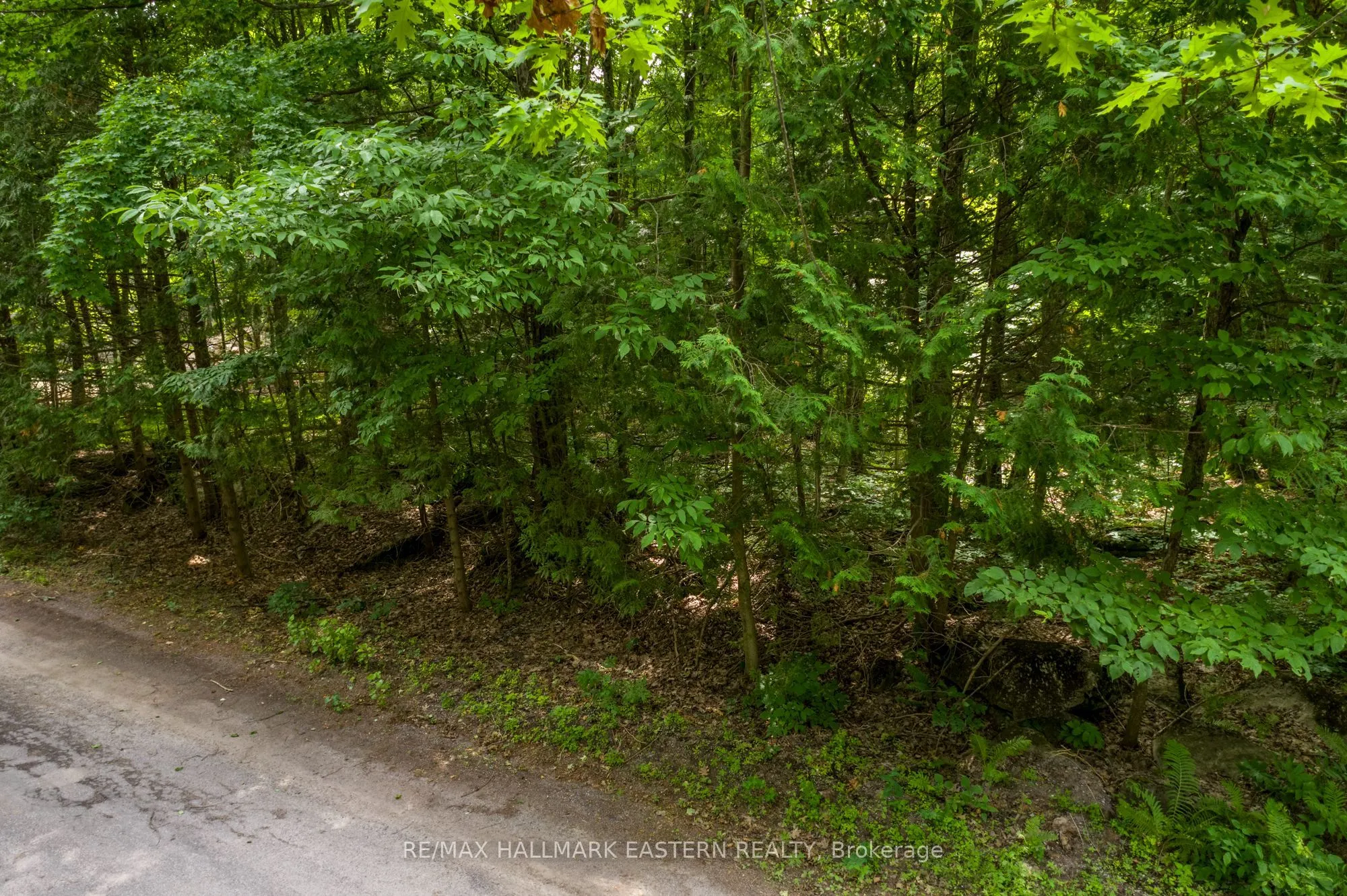 0 Teds Lane