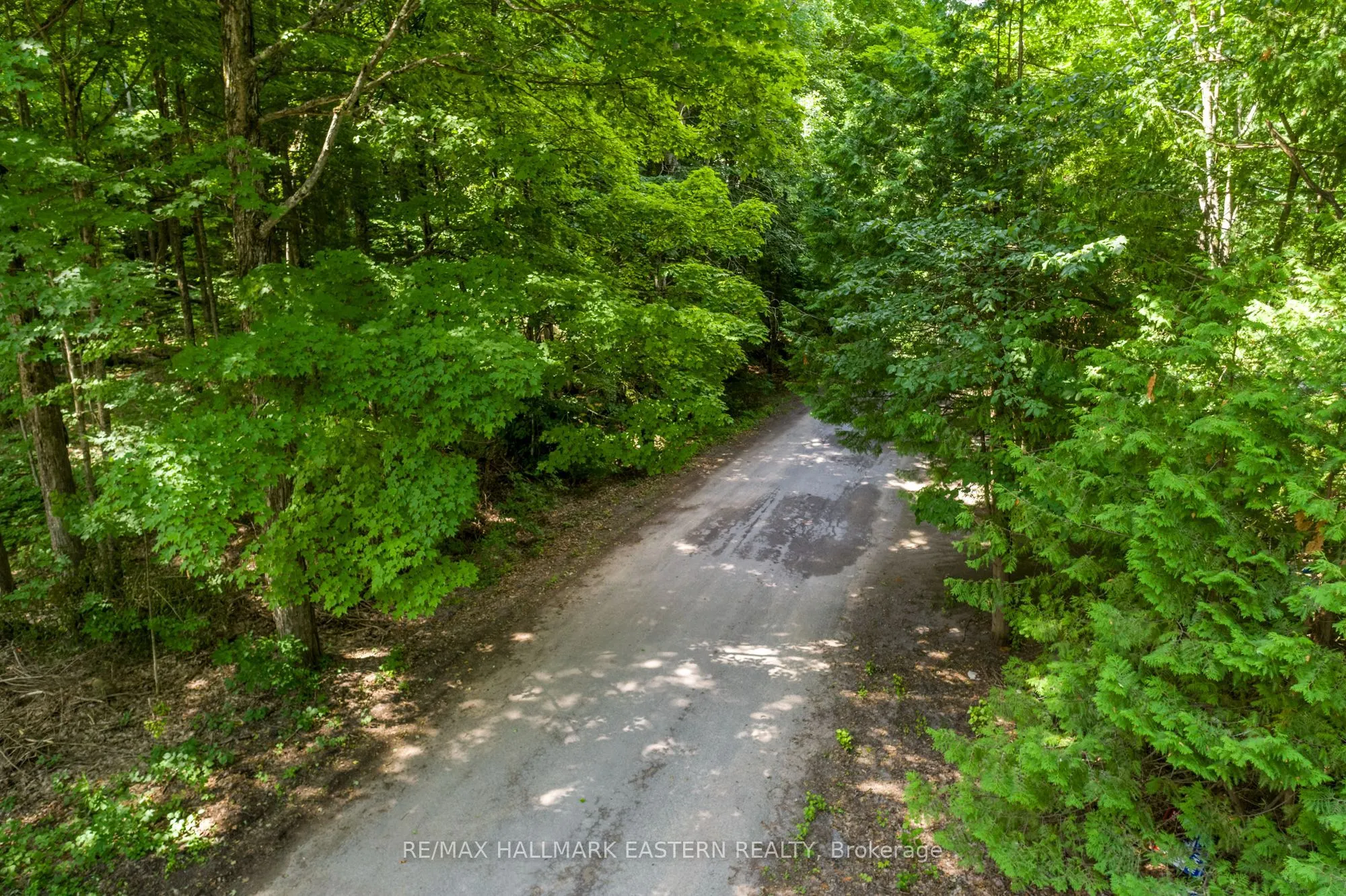 0 Teds Lane