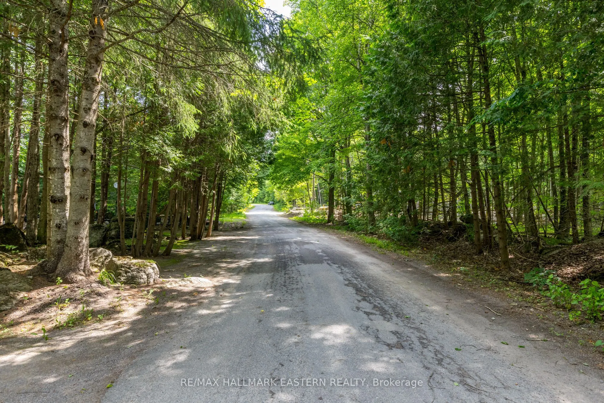 0 Teds Lane