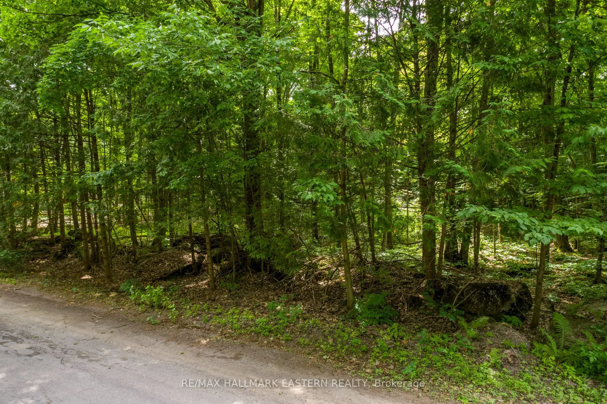 0 Teds Lane