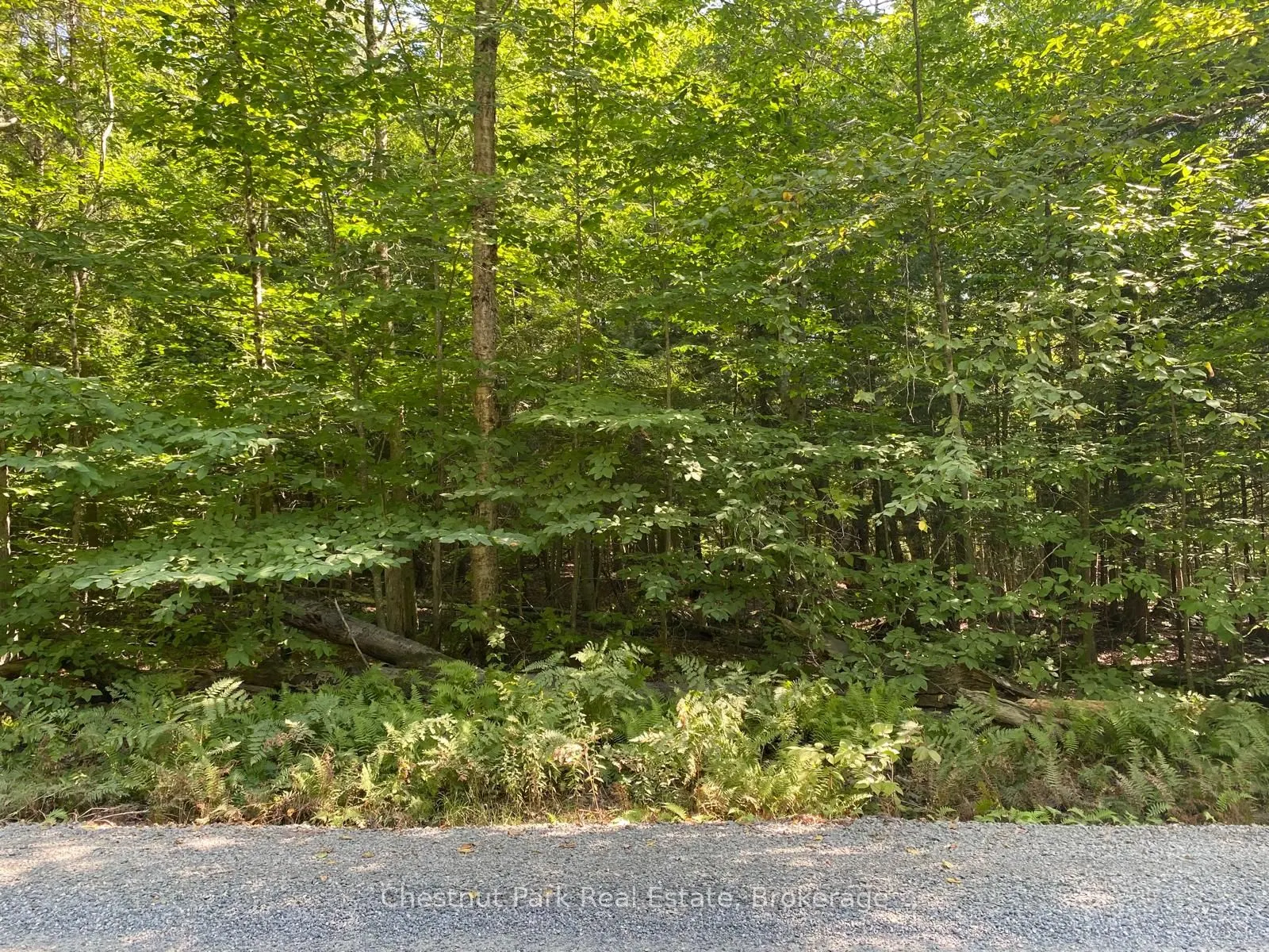 0 Point Ideal Road