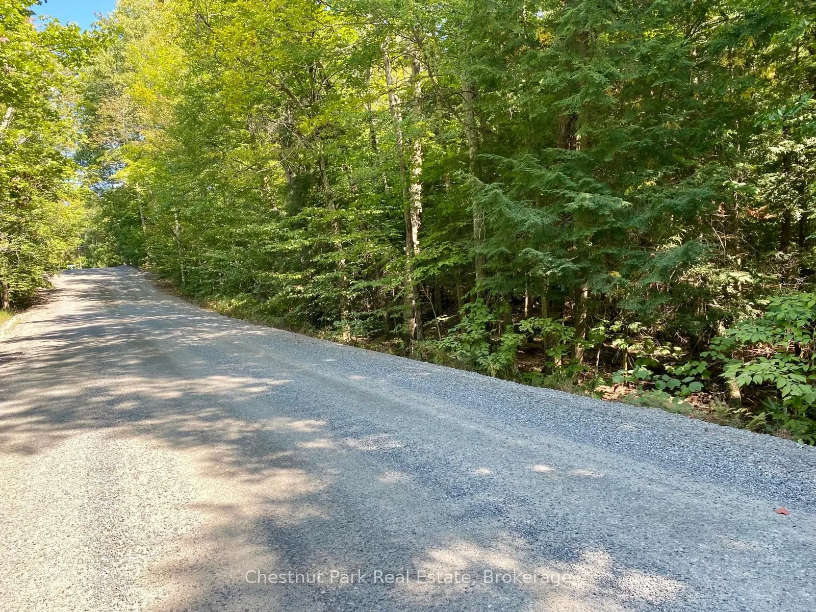 0 Point Ideal Road
