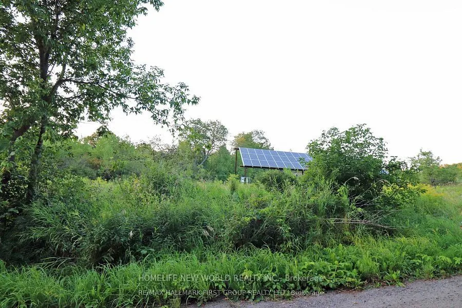 726 Otter creek Road