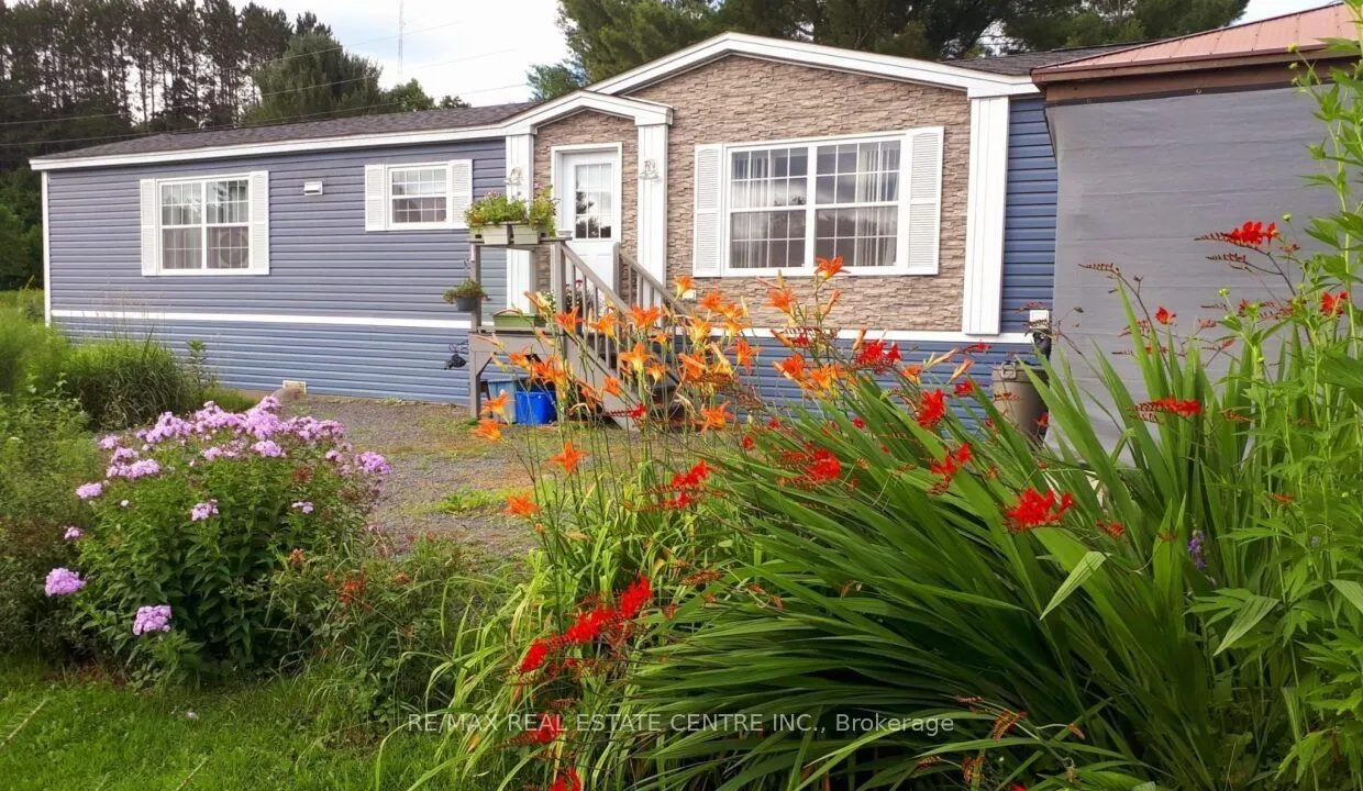 7 Pawlett Road