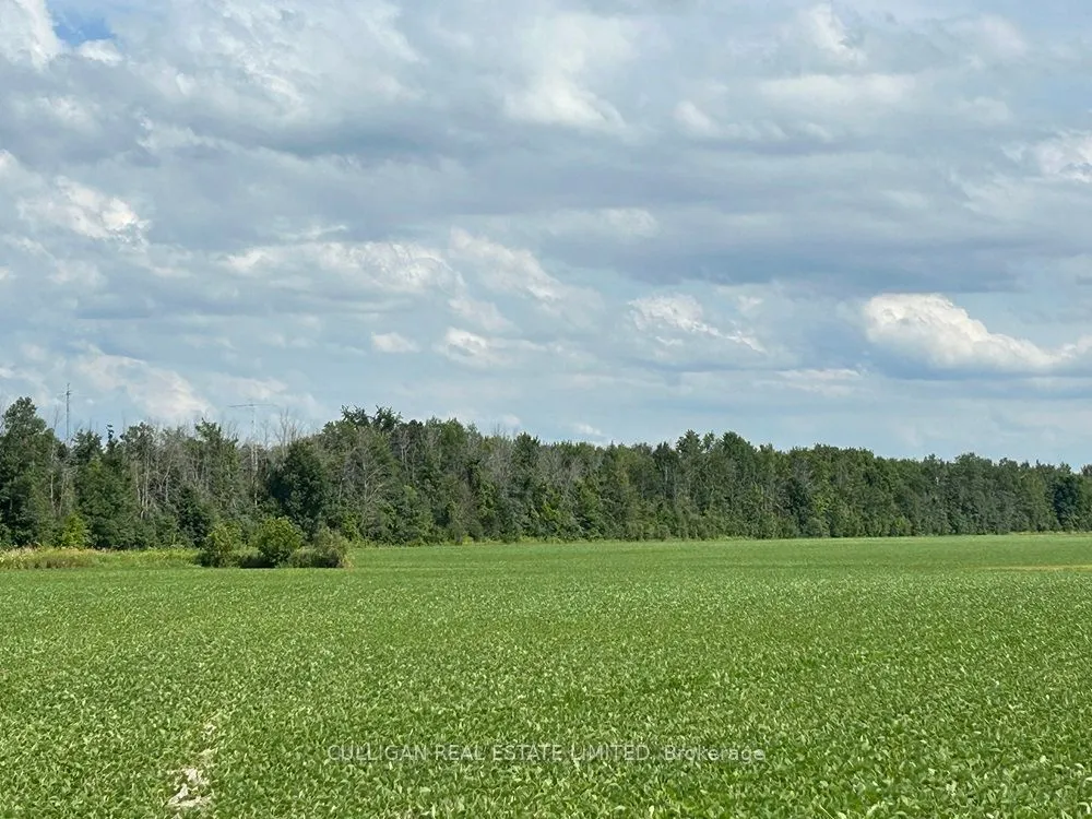 906 French Settlement Road