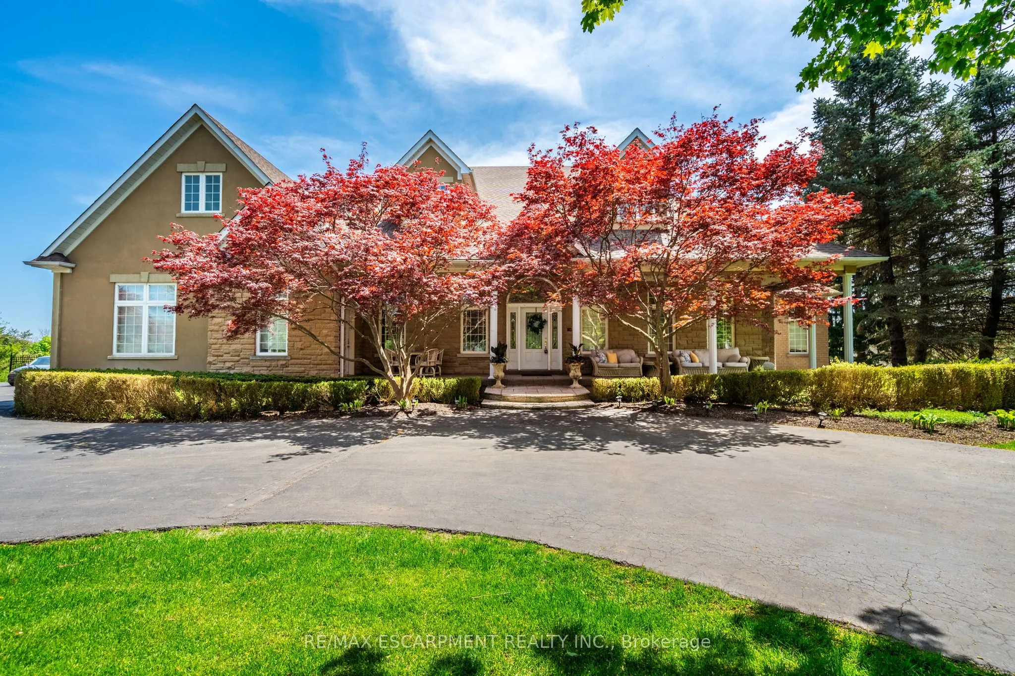 11 Palomino Drive