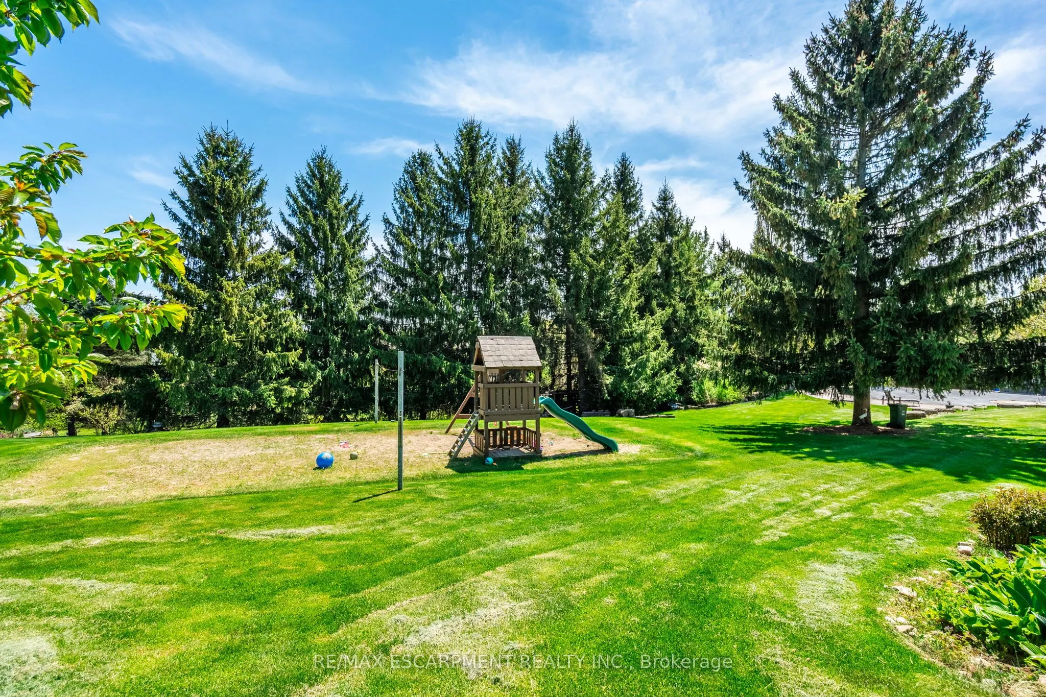 11 Palomino Drive