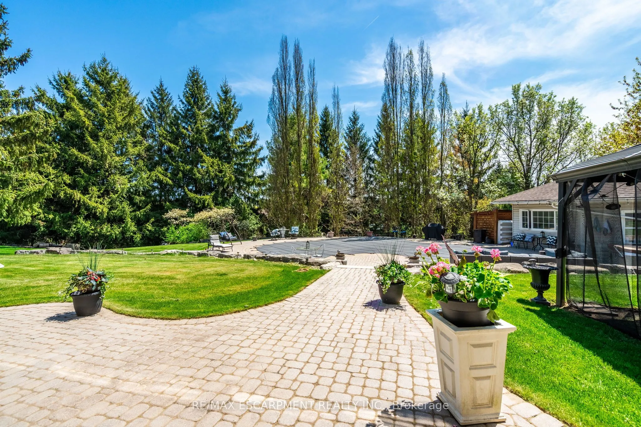 11 Palomino Drive