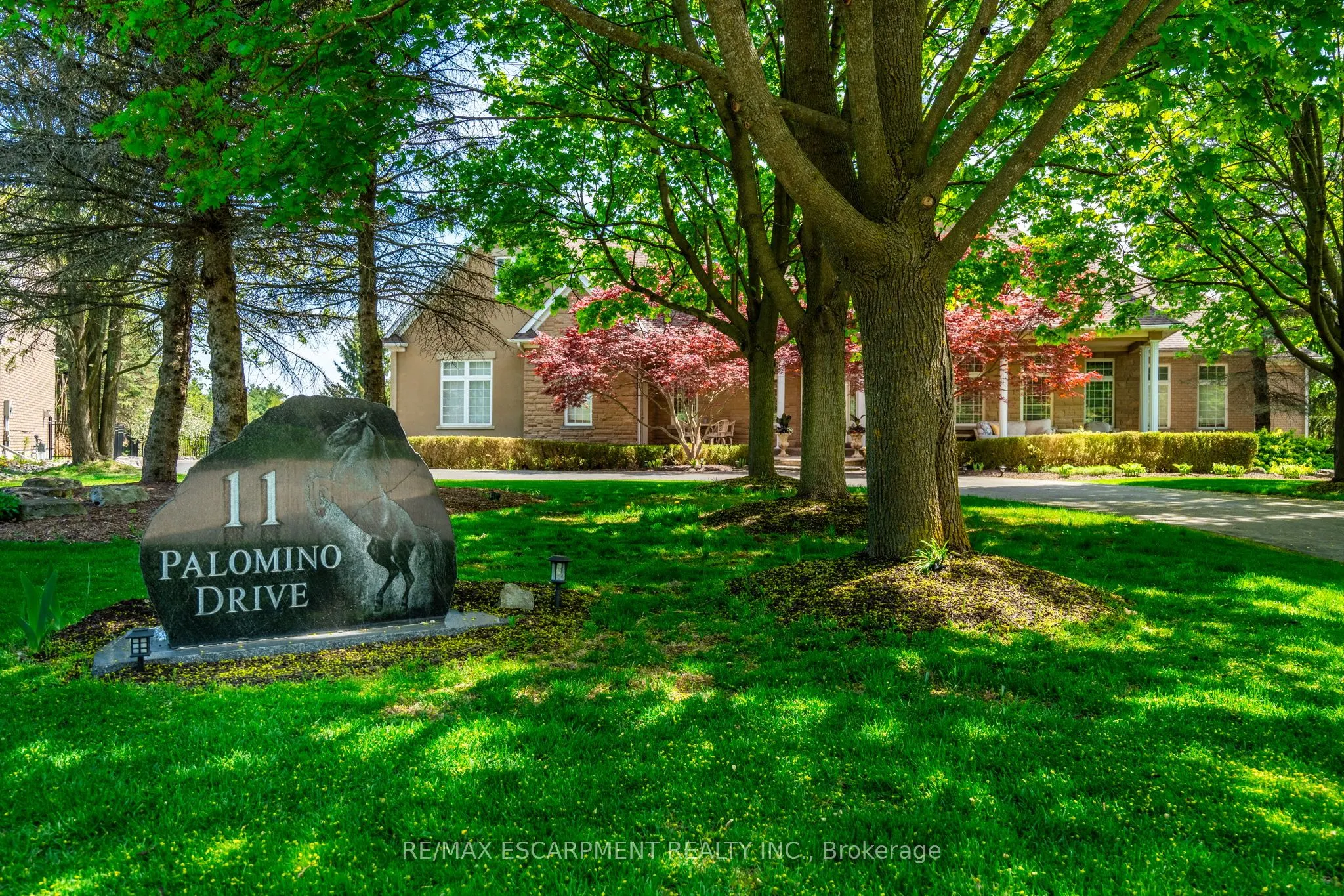 11 Palomino Drive