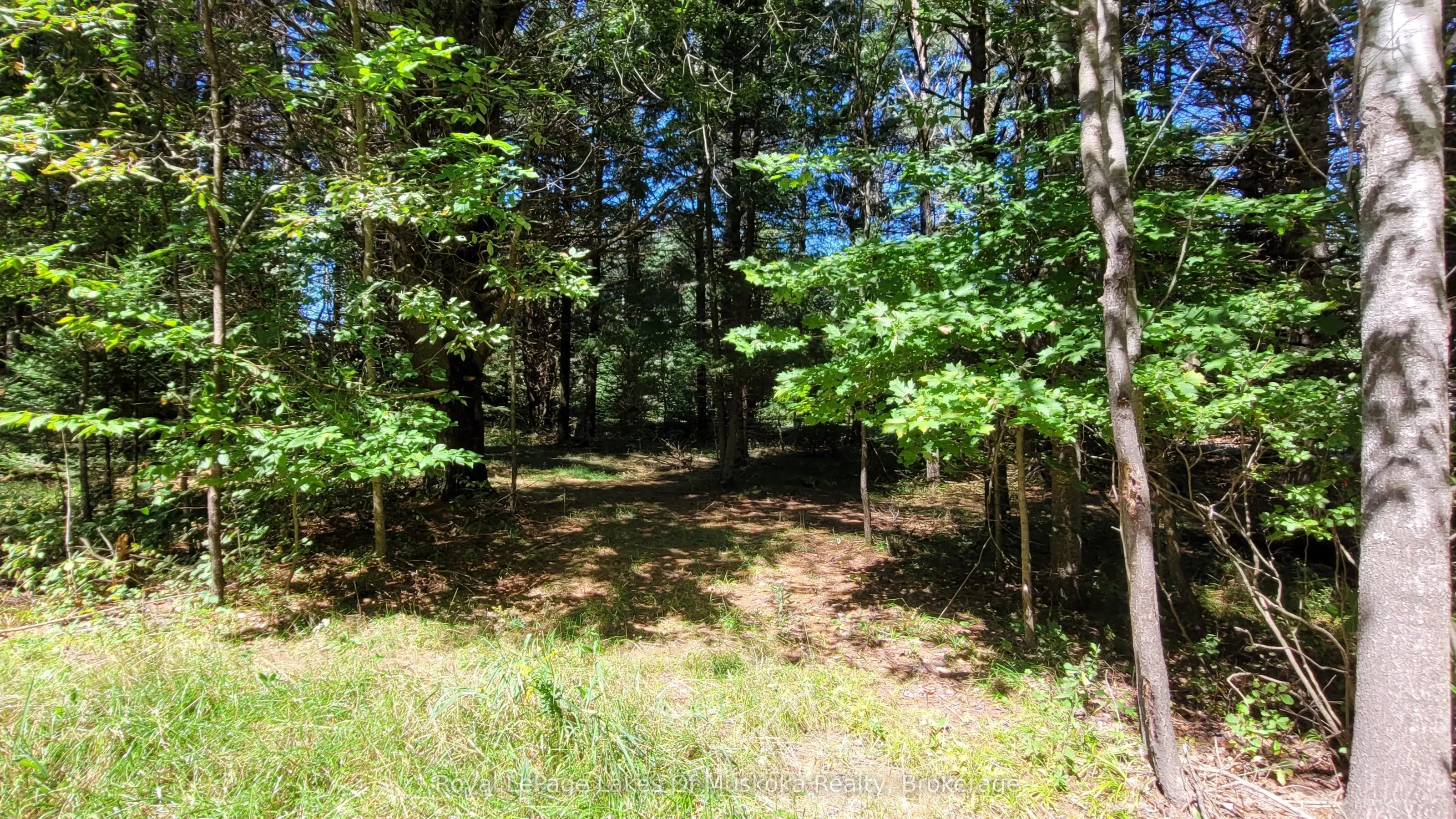 1059 Ablett Court