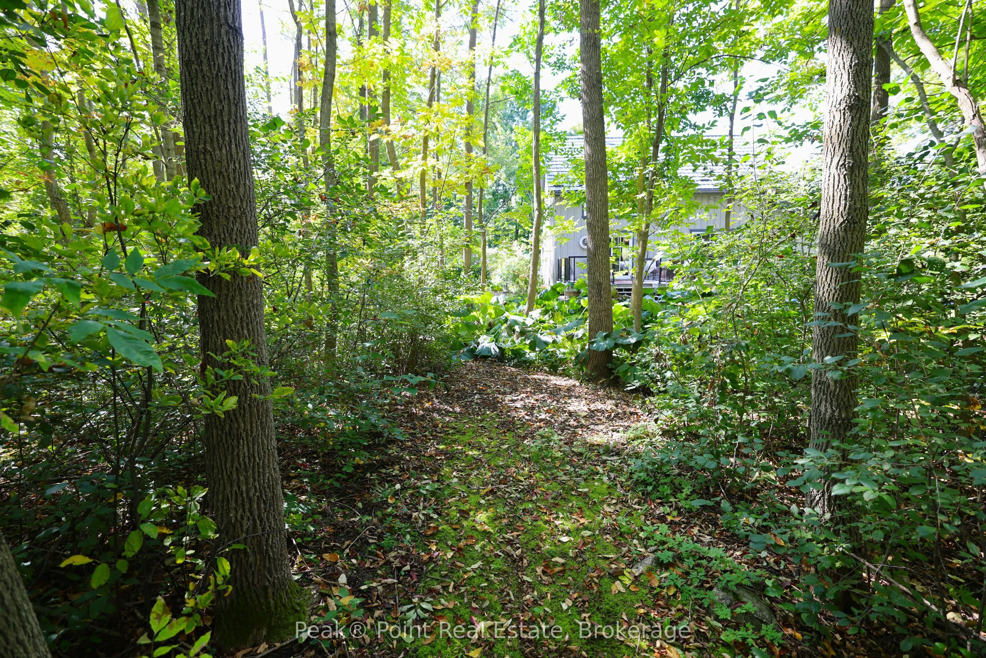418573 Concession Road A