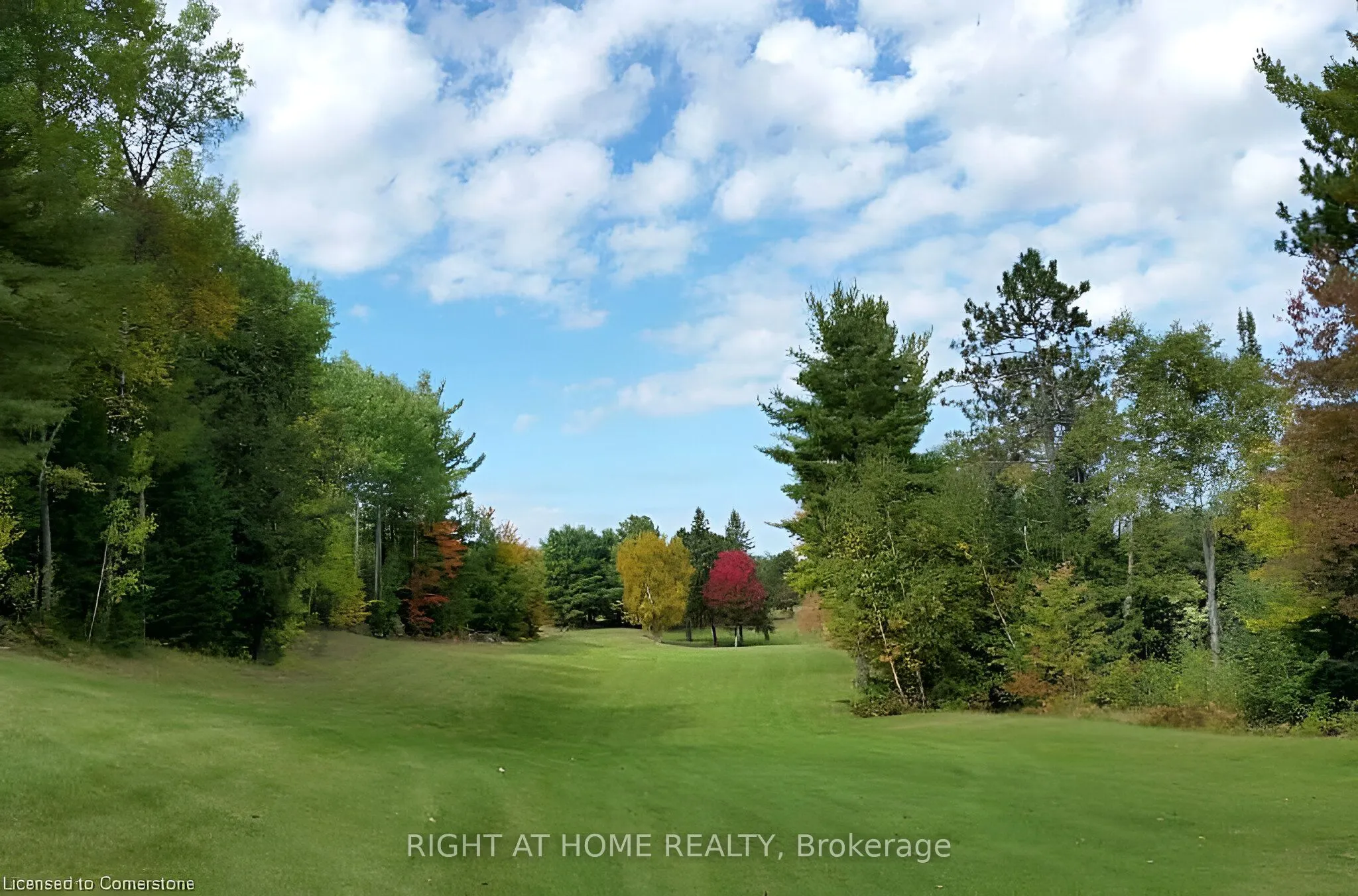 2937 Old Barrys Bay Road