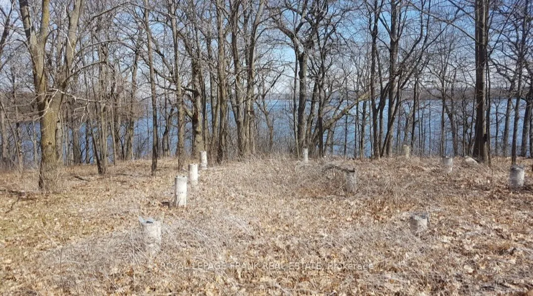 110 Cow Island